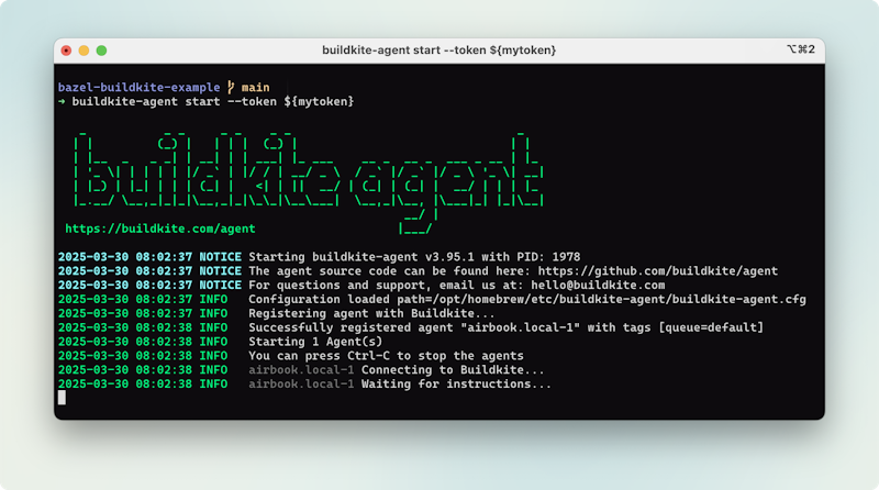 The Buildkite agent running locally