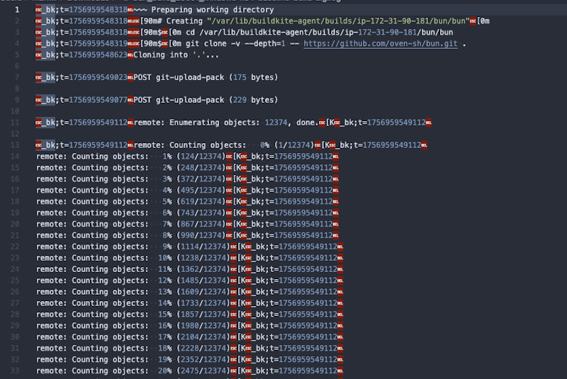 A screenshot from VSCode showing ANSI escape codes and timestamps encoded into a raw build log.