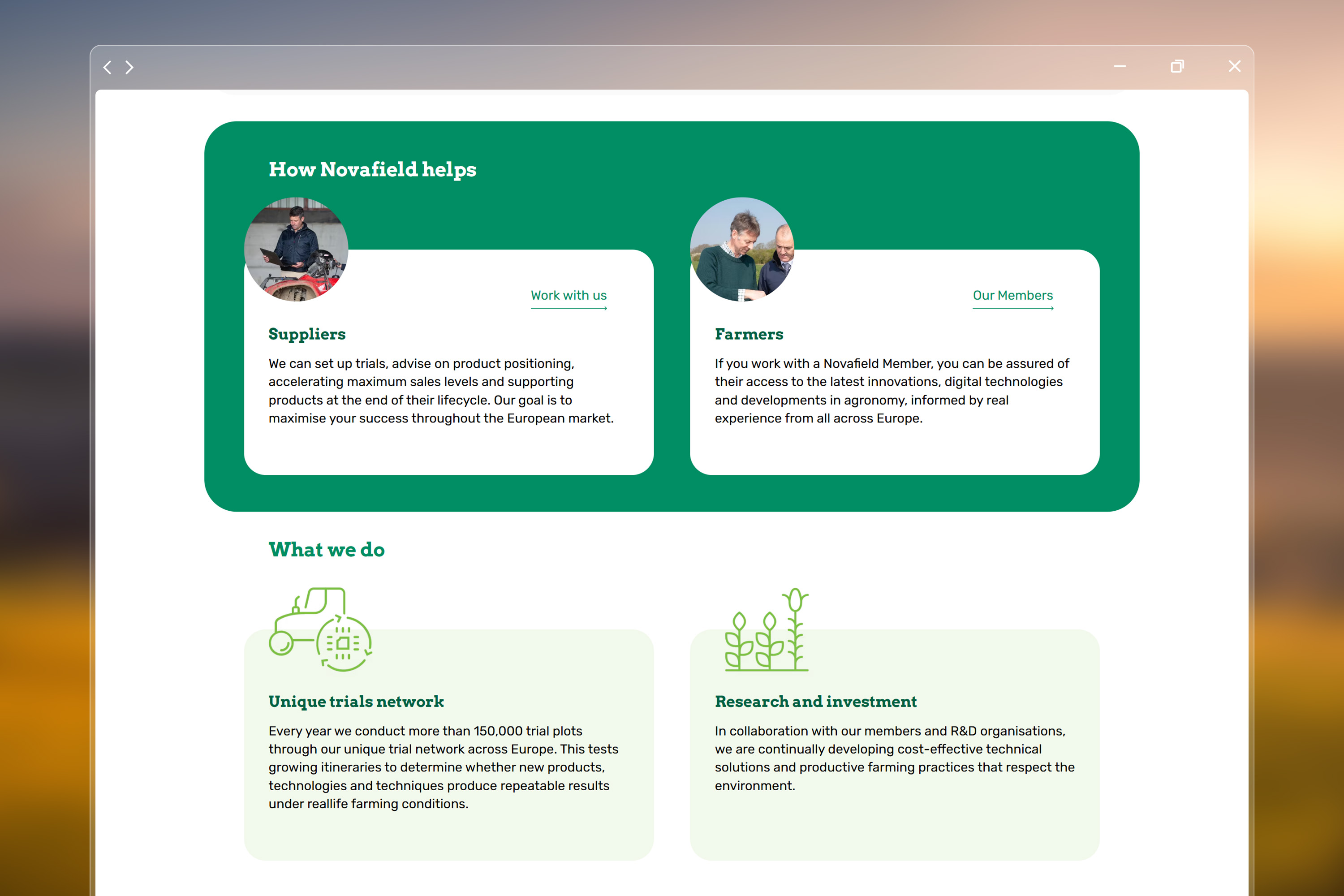 file, person, webpage