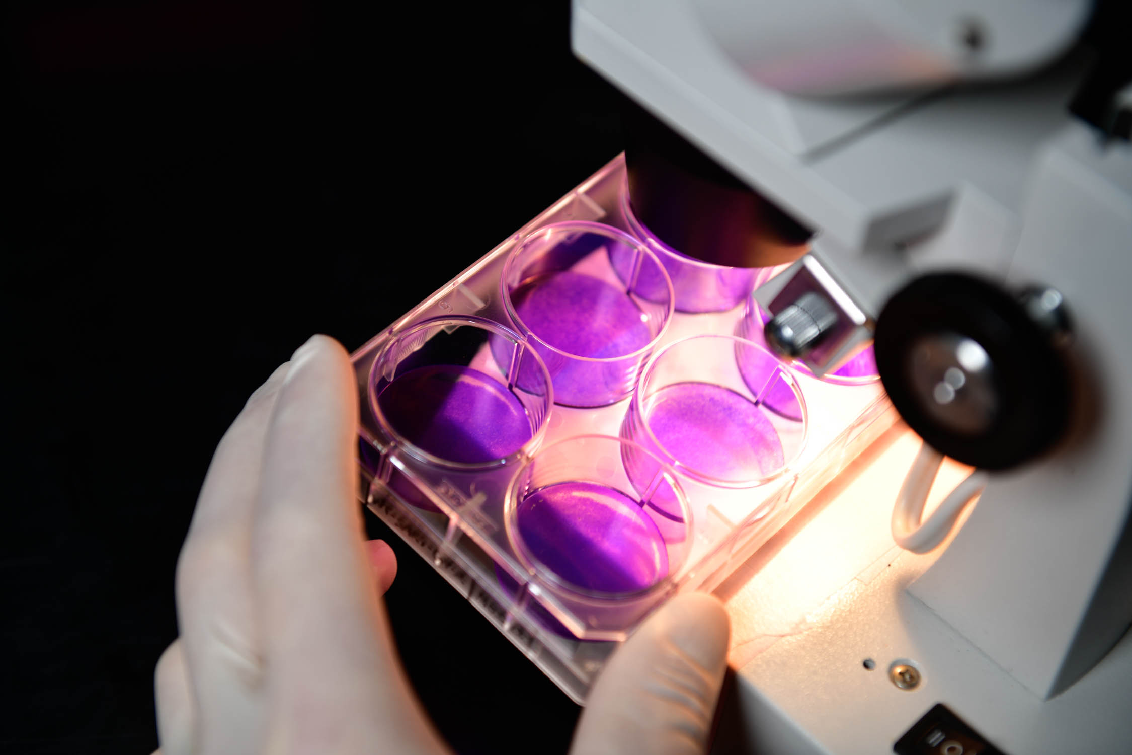 Research - WVU Cancer Institute