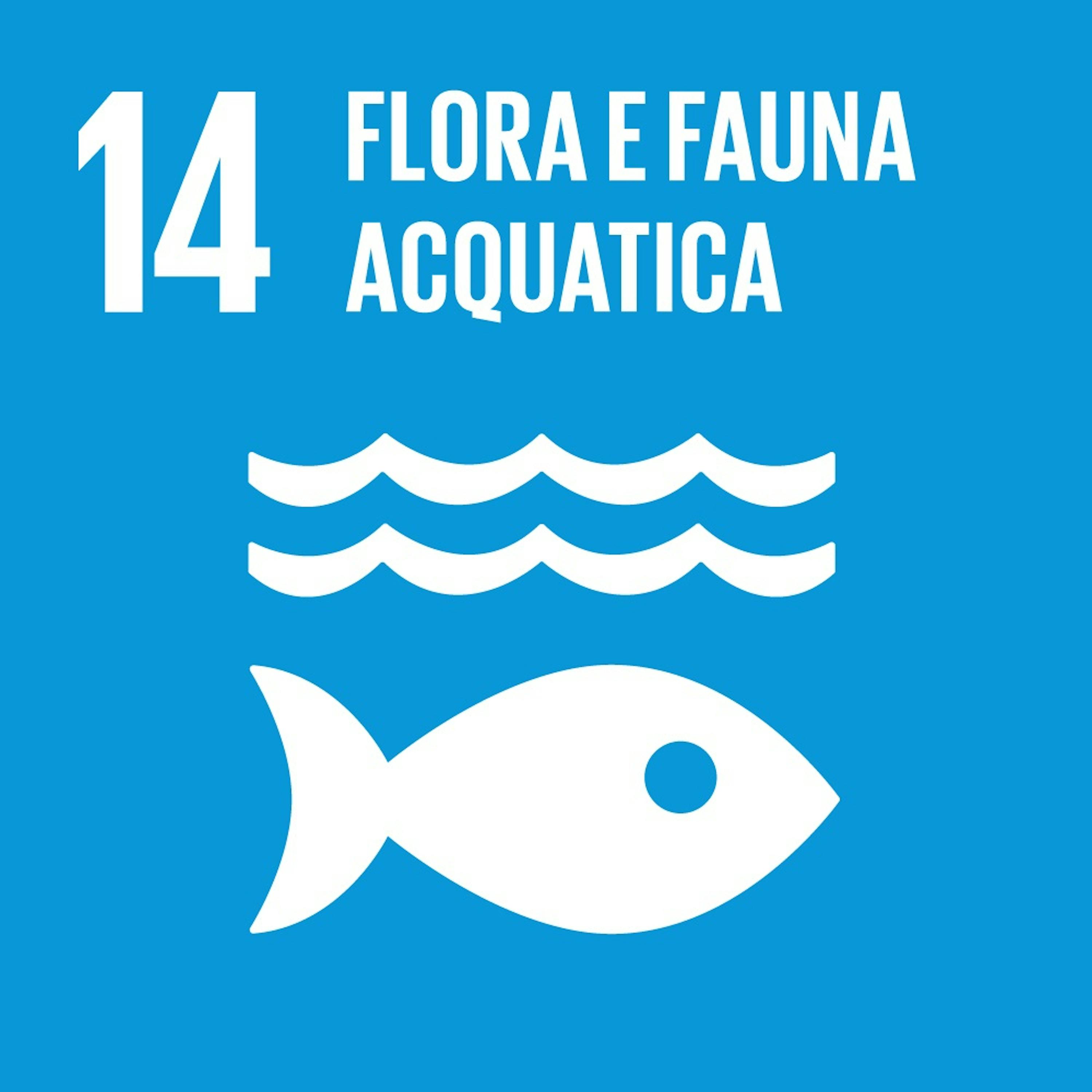 Logo SDG 14