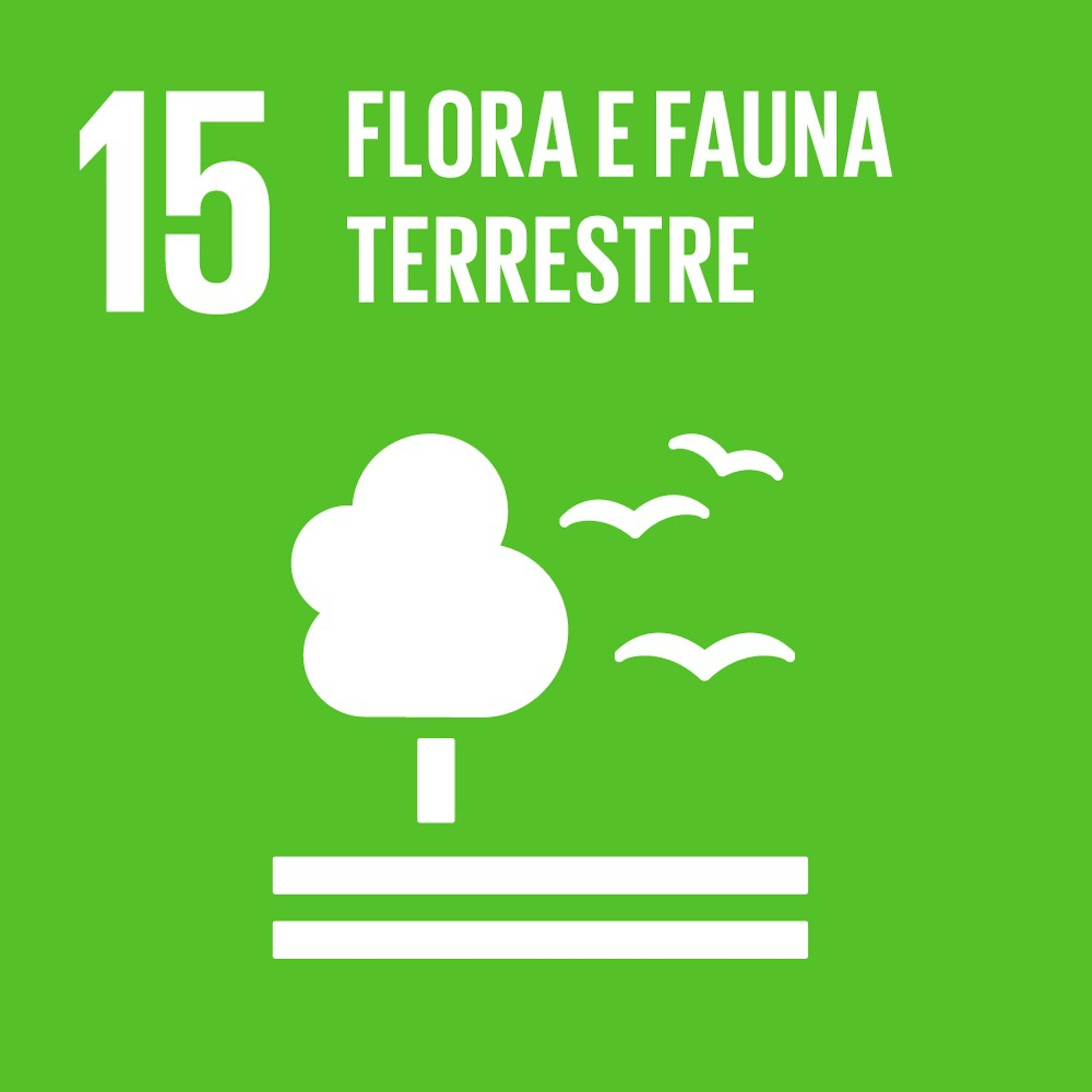 Logo SDG 15