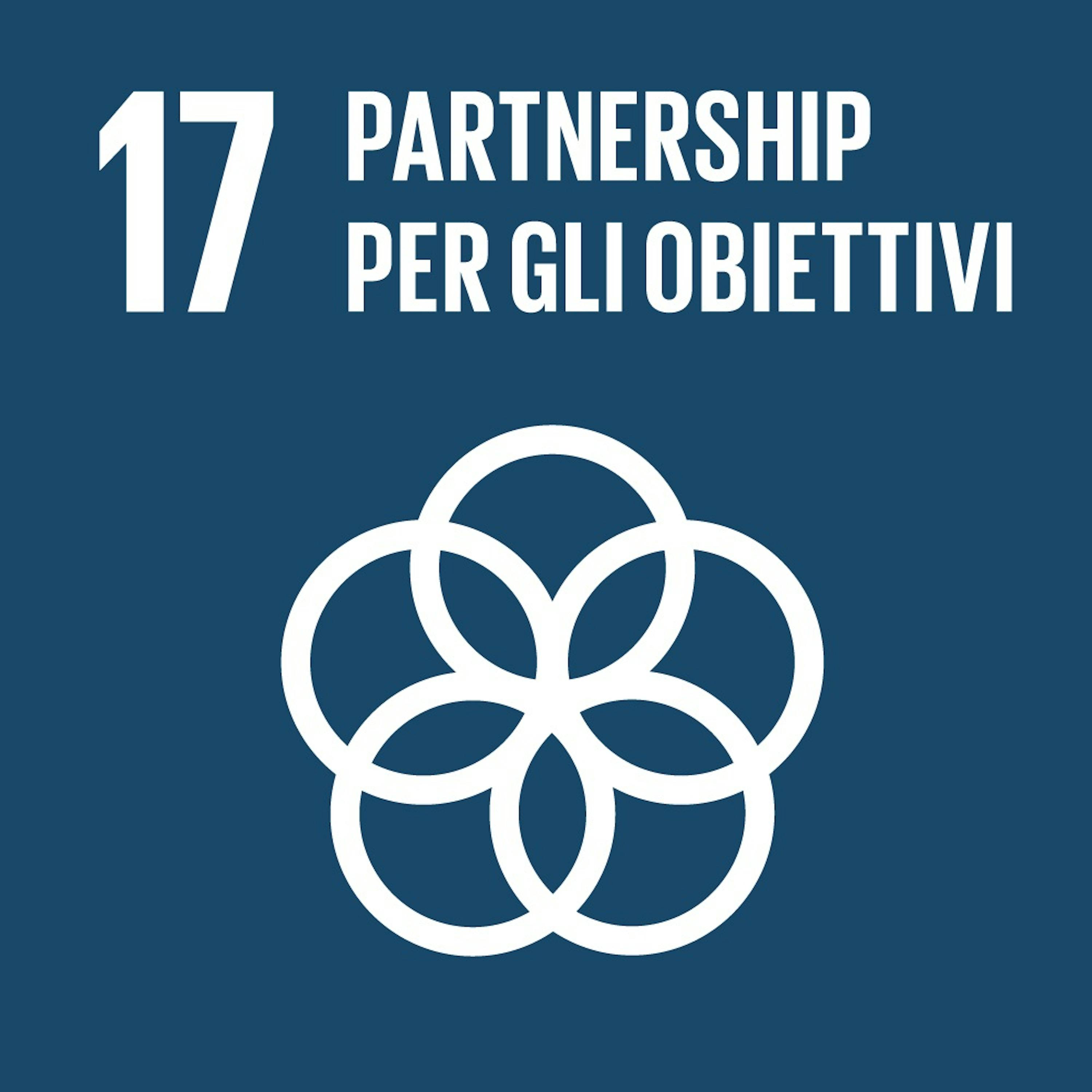 Logo SDG 17