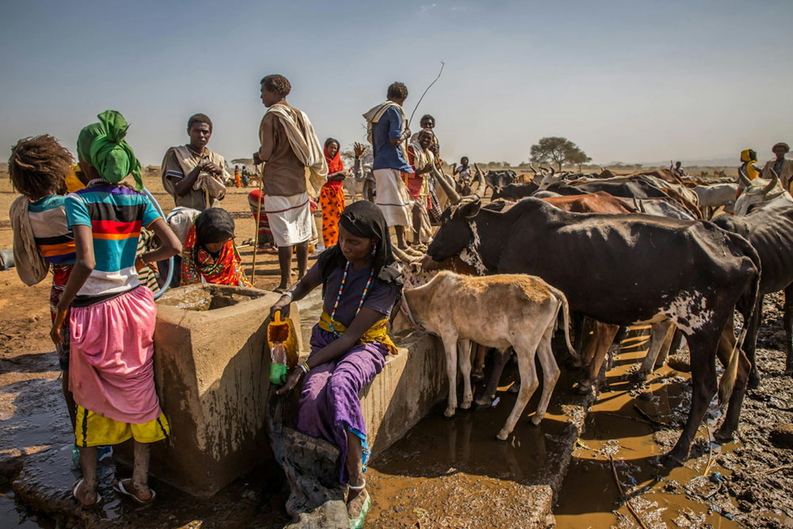 Bambini e adulti devono camminare anche per 10 ore per condurre il bestiame all'abbeveratoio di Qacha Chalu, Etiopia centrale - ©UNICEF/UN010148/Ayene