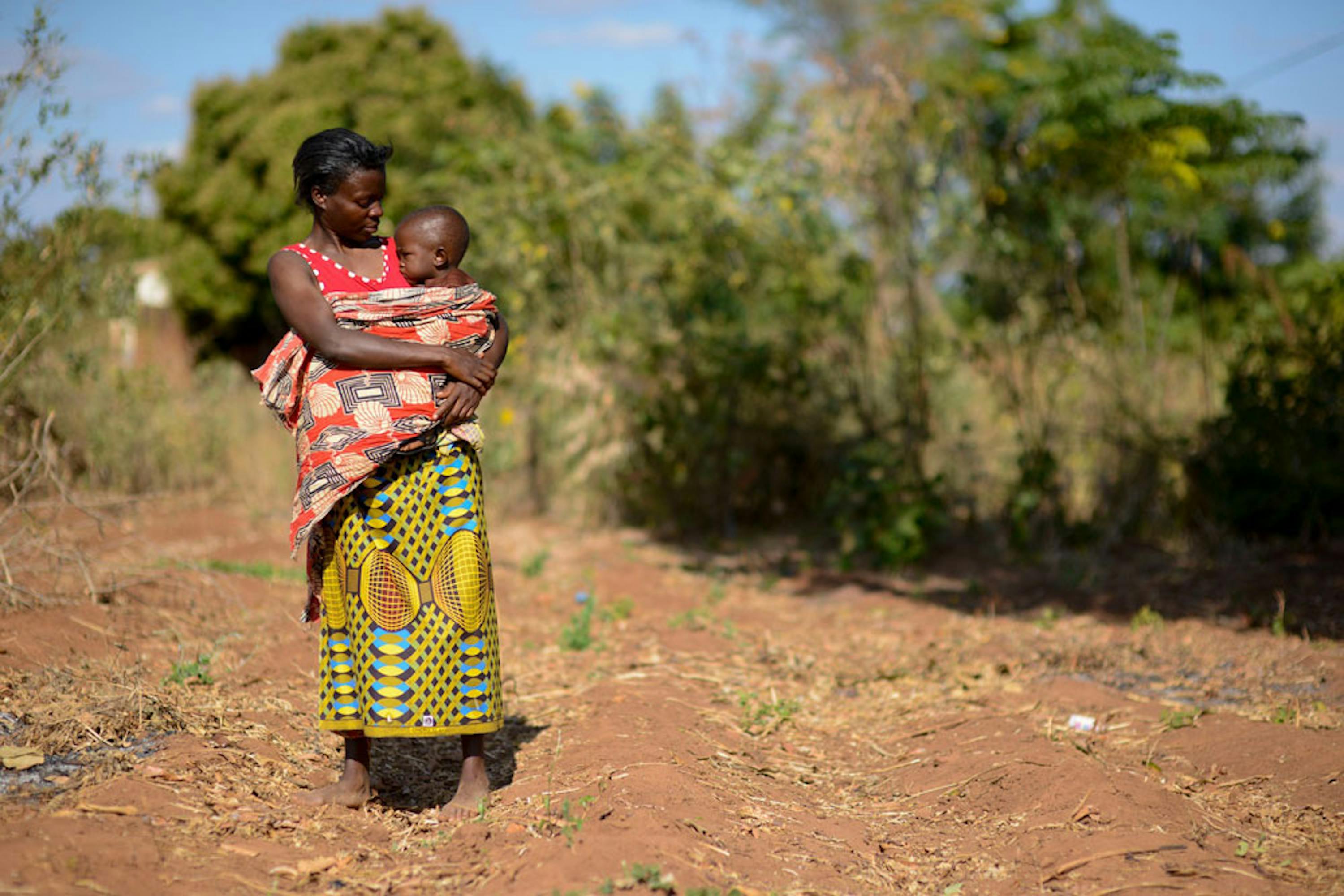 Alinafe con la piccola Desire (2 anni) nel loro campo di mais, devastato dalla siccità, a Balaka (Malawi). Desire riesce a sopravvivere solo grazie all'aiuto nutrizionale dell'UNICEF - ©UNICEF/UN024088/Rich