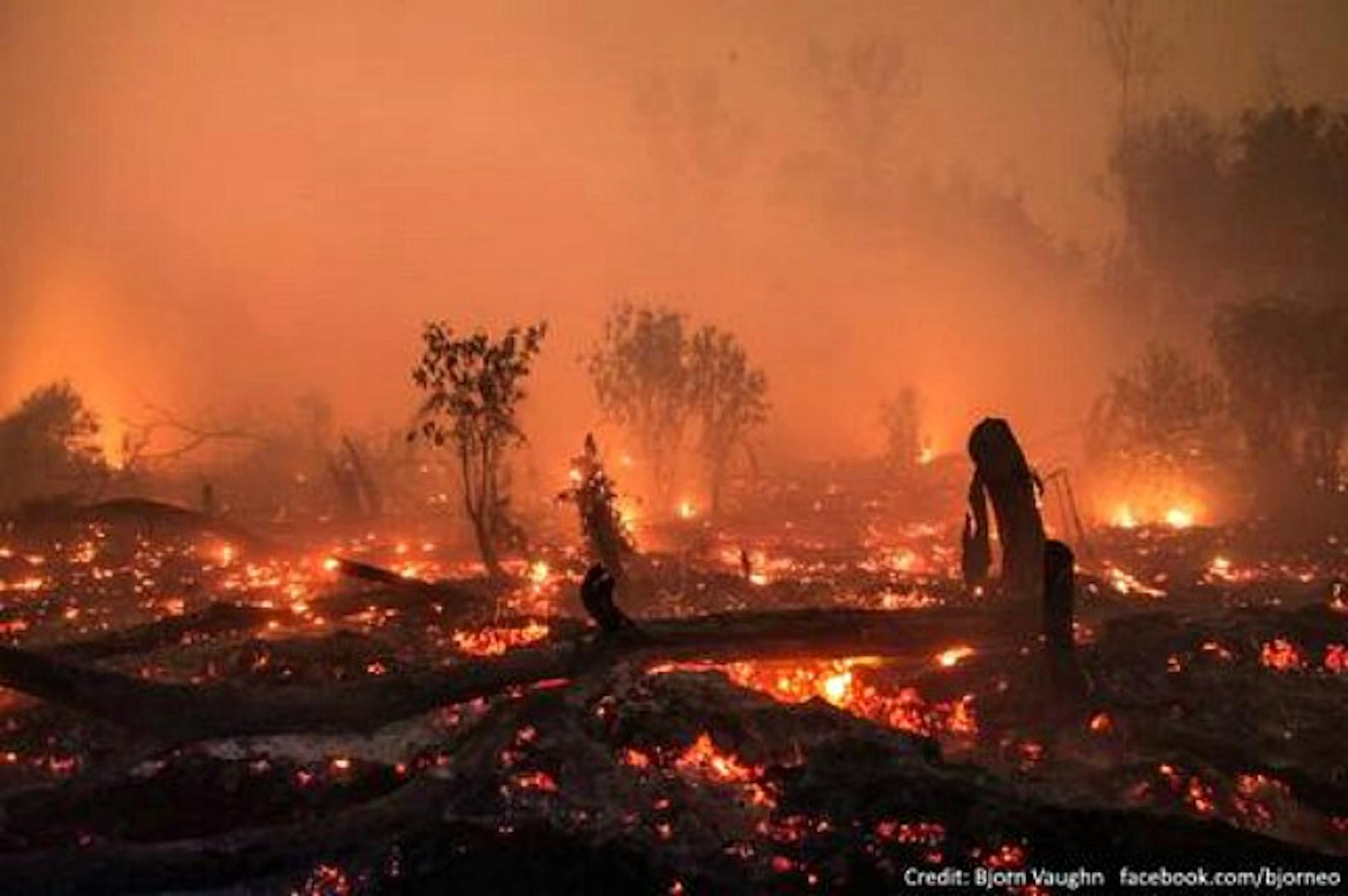 Un'immagine dei roghi che stanno devastando l'Indonesia - ©Björn Vaughn