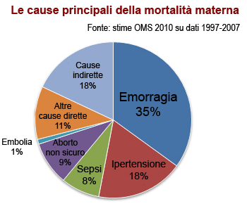 Diagramma delle principali cause di mortalità materna nel mondo: dati OMS 2010