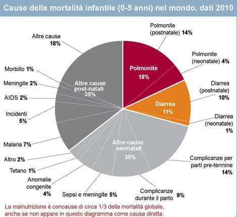 Le cause della mortalità infantile globale: polmonite 18%, diarrea 11%, altre cause neonatali 35%, altre cause postnatali 38%