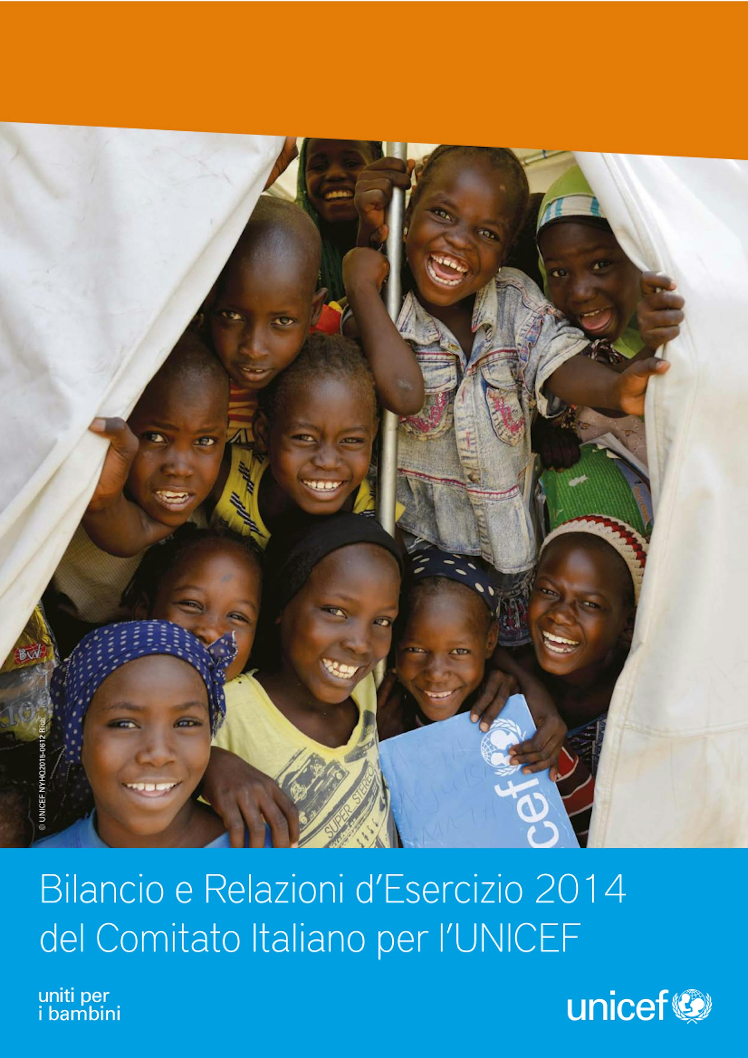 Bilancio e Relazioni d'Esercizio UNICEF Italia 2014