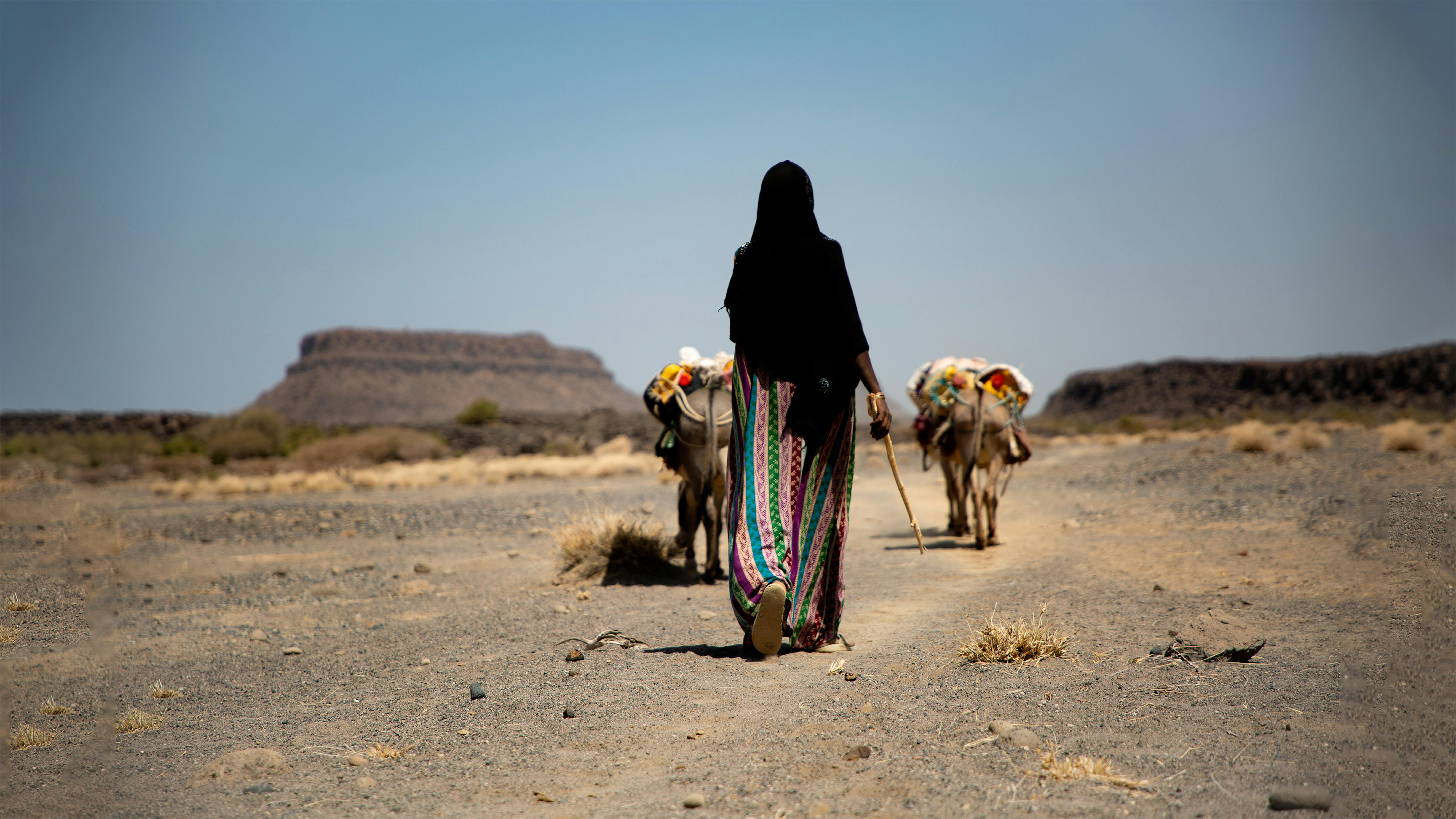 Etiopia: il viaggio di Fatuma Mahi, 23 anni per prendere l'acqua. “Impiego tra le cinque e le sei ore al giorno a camminare