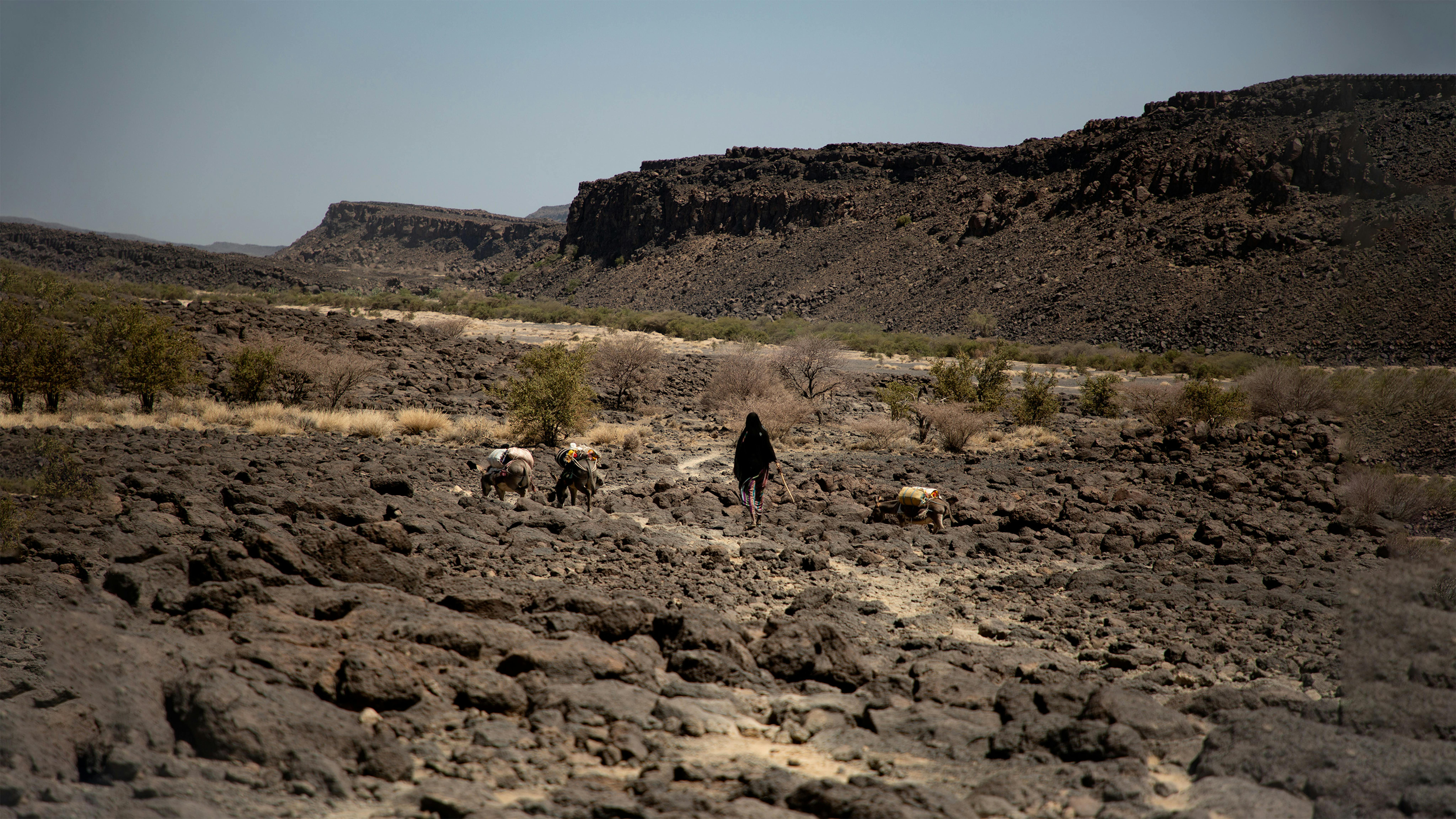 Fatuma cammina con i suoi asini diverse ore al giorno per raggiungere il punto di approvigionamento di Kori Fenti, in Etiopia. Durante la stagione secca è l'unico disponibile per diversi distretti della zona