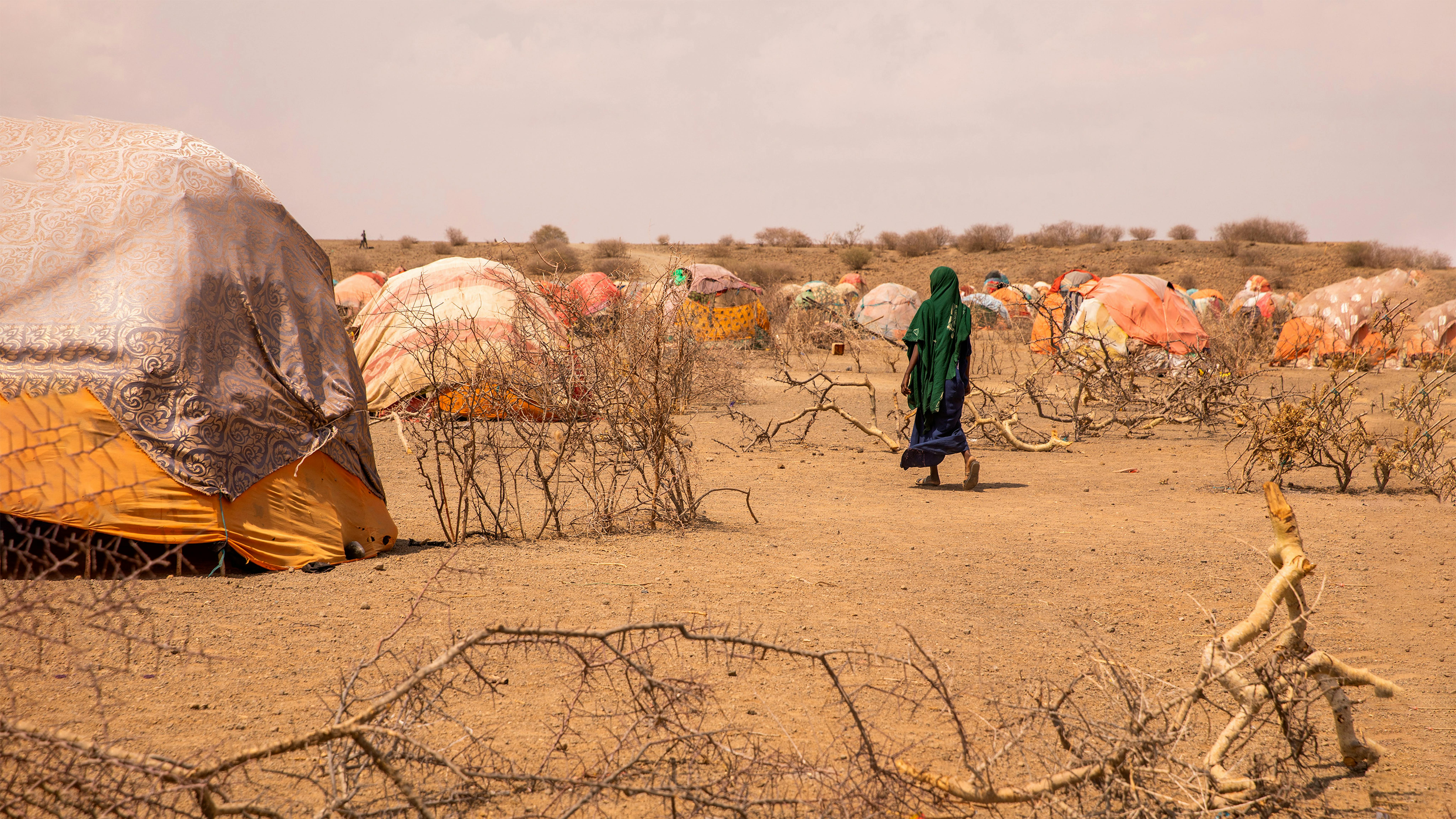 Etiopia - una donna nel campo per sfollati interni che ospita migliaia di persone colpite dalla siccità