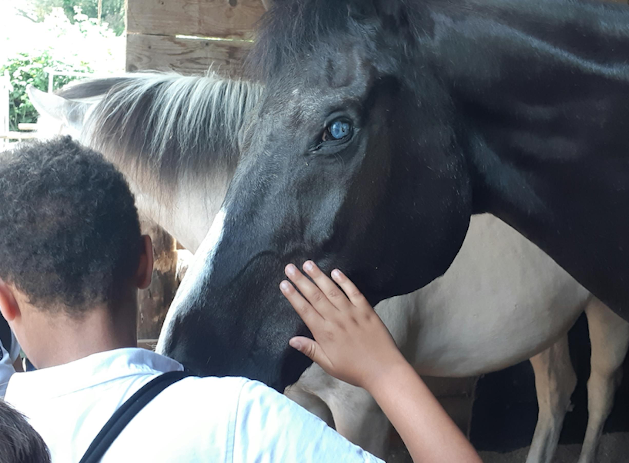 L'incontro con Laghat