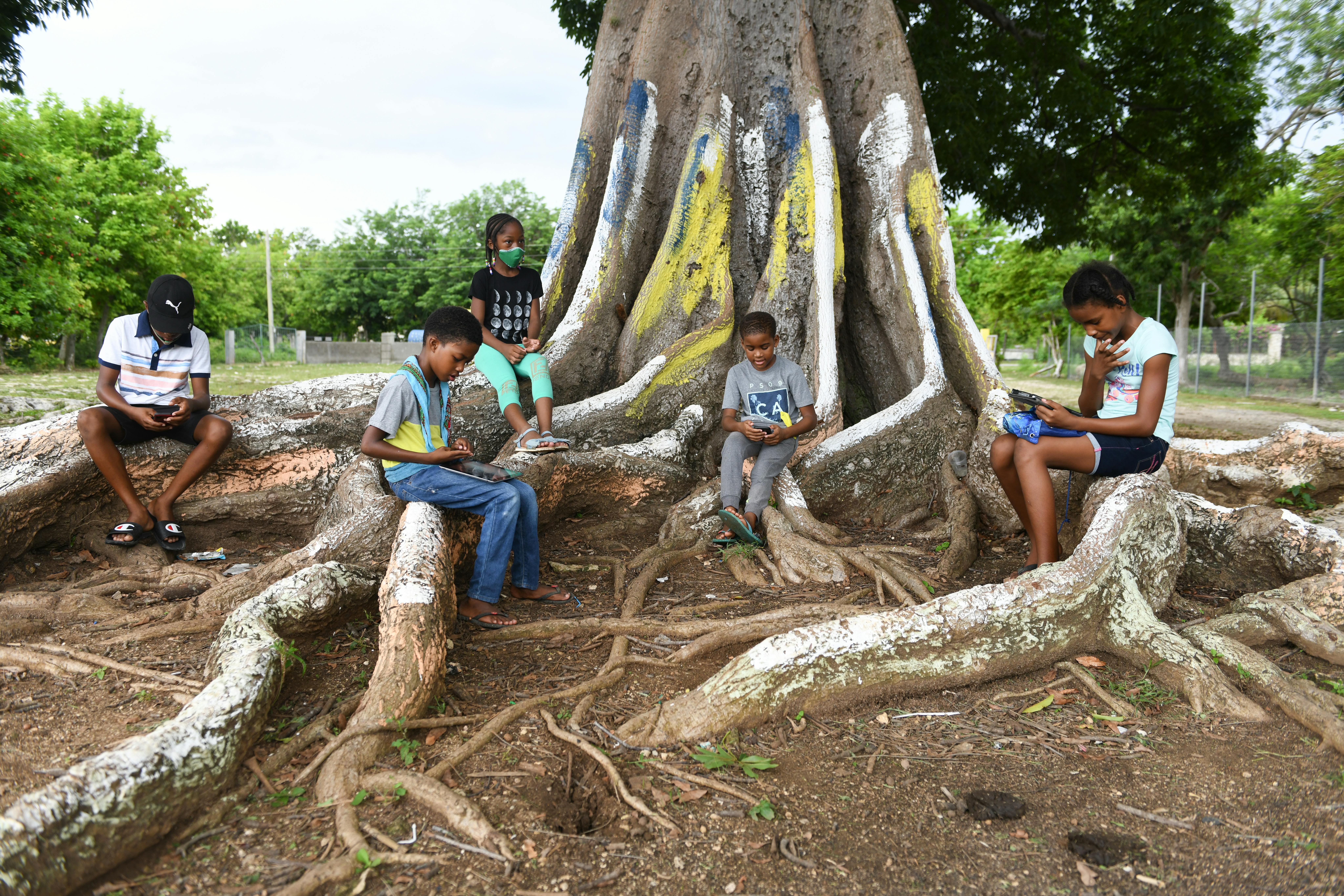 Jamaica, alcuni bambini sono seduti sotto un albero per utilizzare Internet sui loro smartphone. Durante la pandemia le scuole sono state chiuse per mesi, l'UNICEF ha lanciato dei programmi di didattica a distanza per diverse fasce d'età.