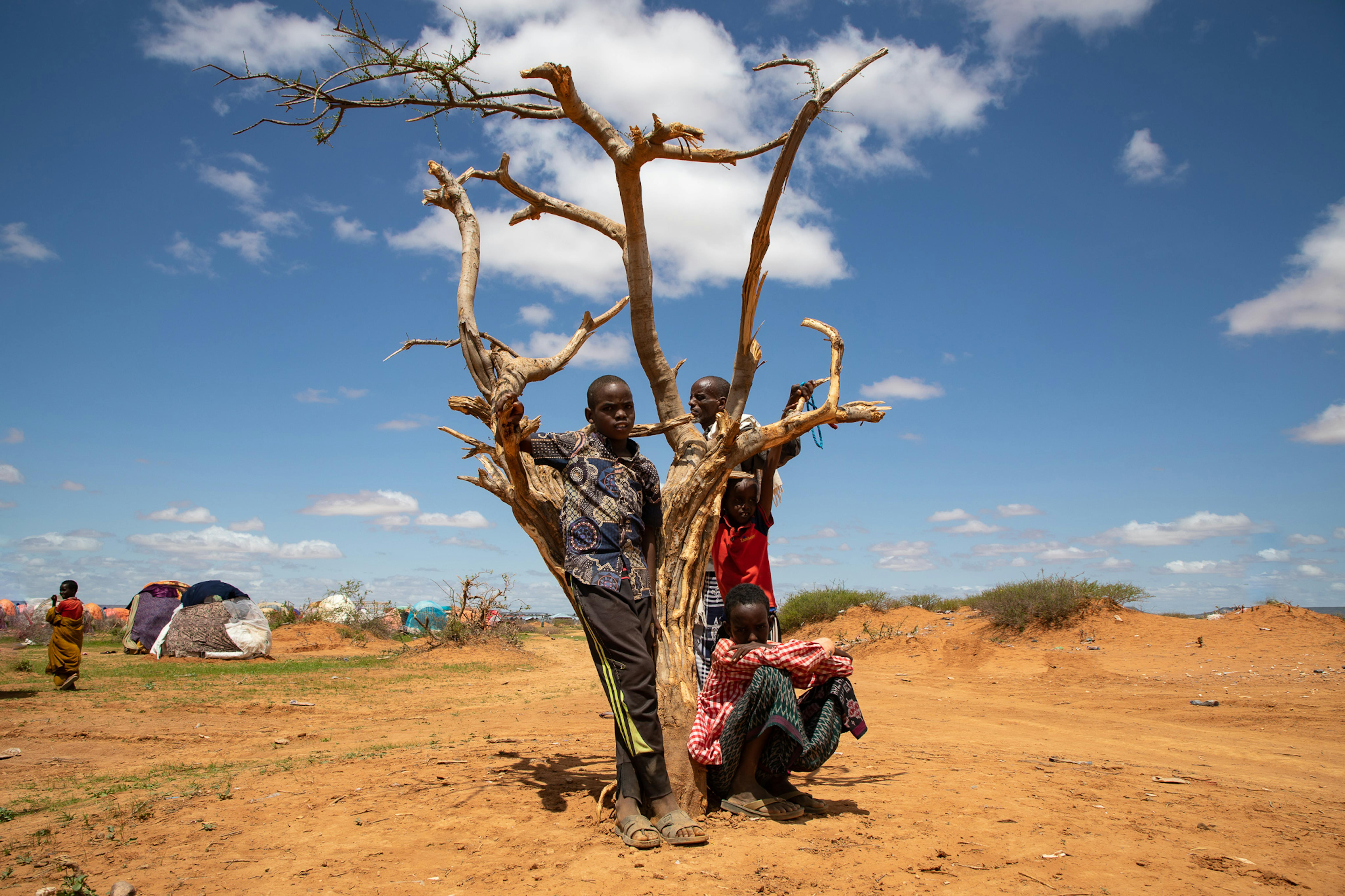 Etiopia: la siccità nella Regione dei Somali sta colpendo duramente la popolazione. Molte famiglie si sono trasferite nei campi per sfollati interni come qui a Farburo 2, vicino alla città di Gode.