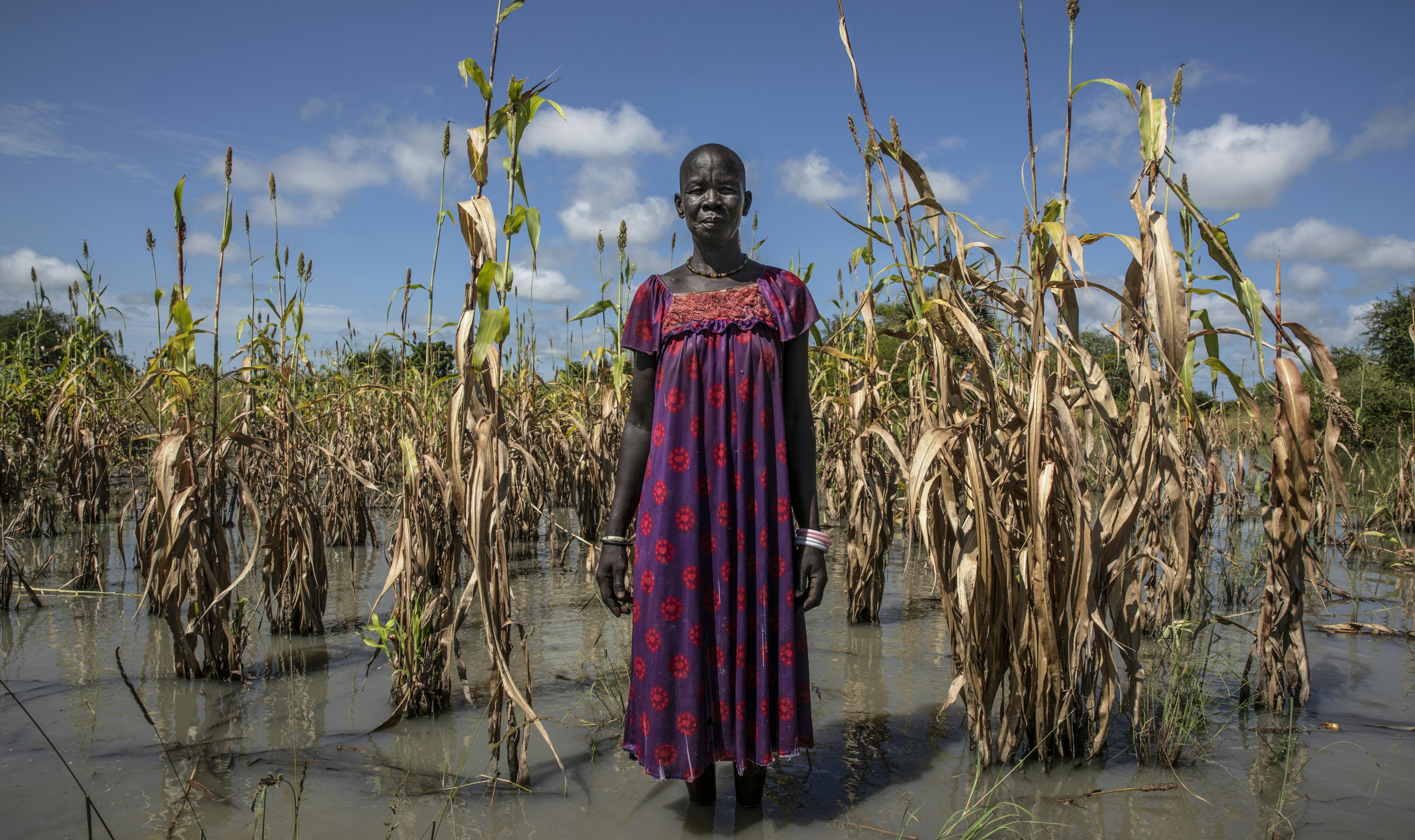 Sud Sudan - Nyadend Majok nella sua piantagione di sorgo distrutta dalle inondazioni  © WFP/WF1682680