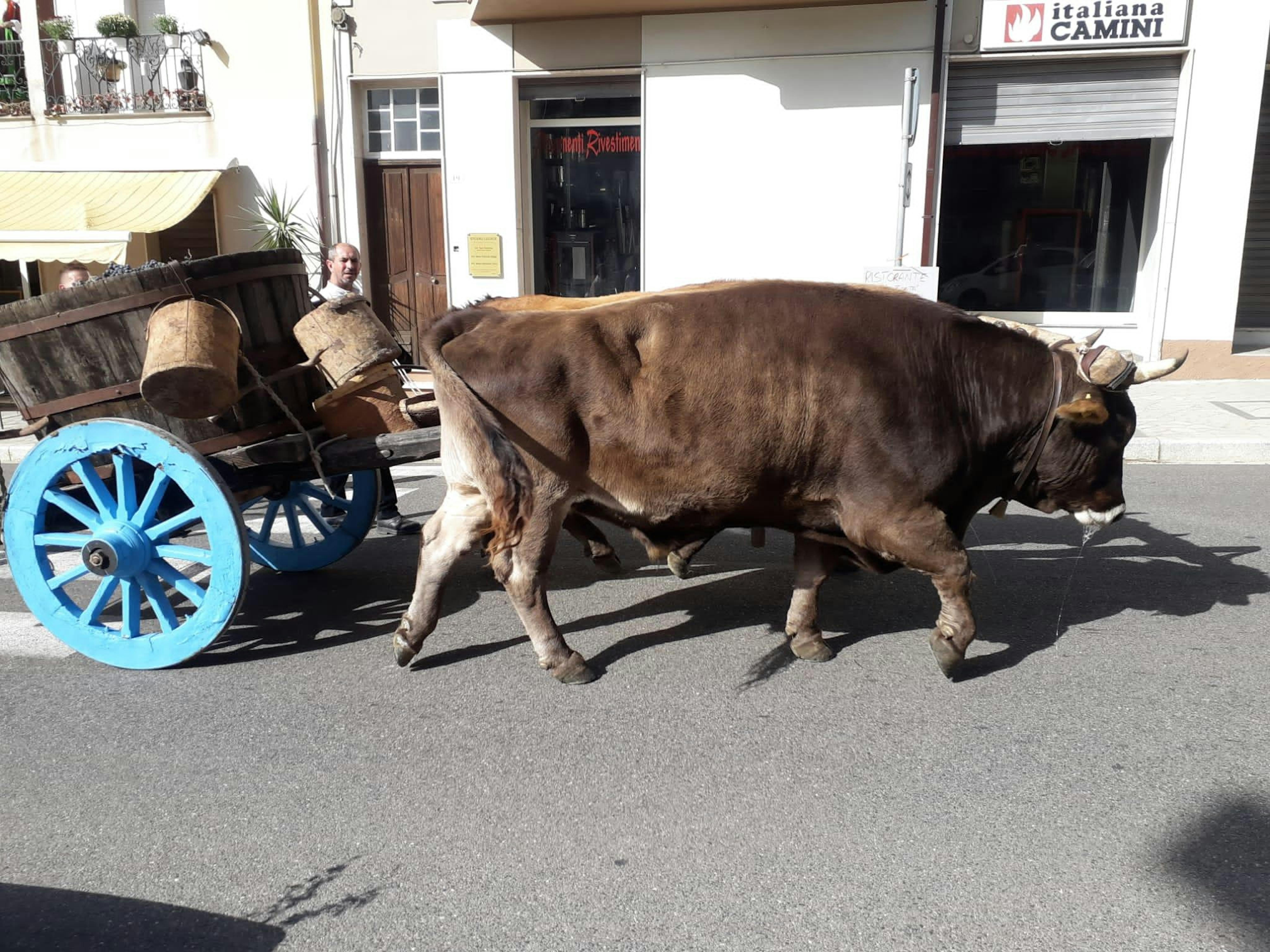 Il  Comune di Sorgono