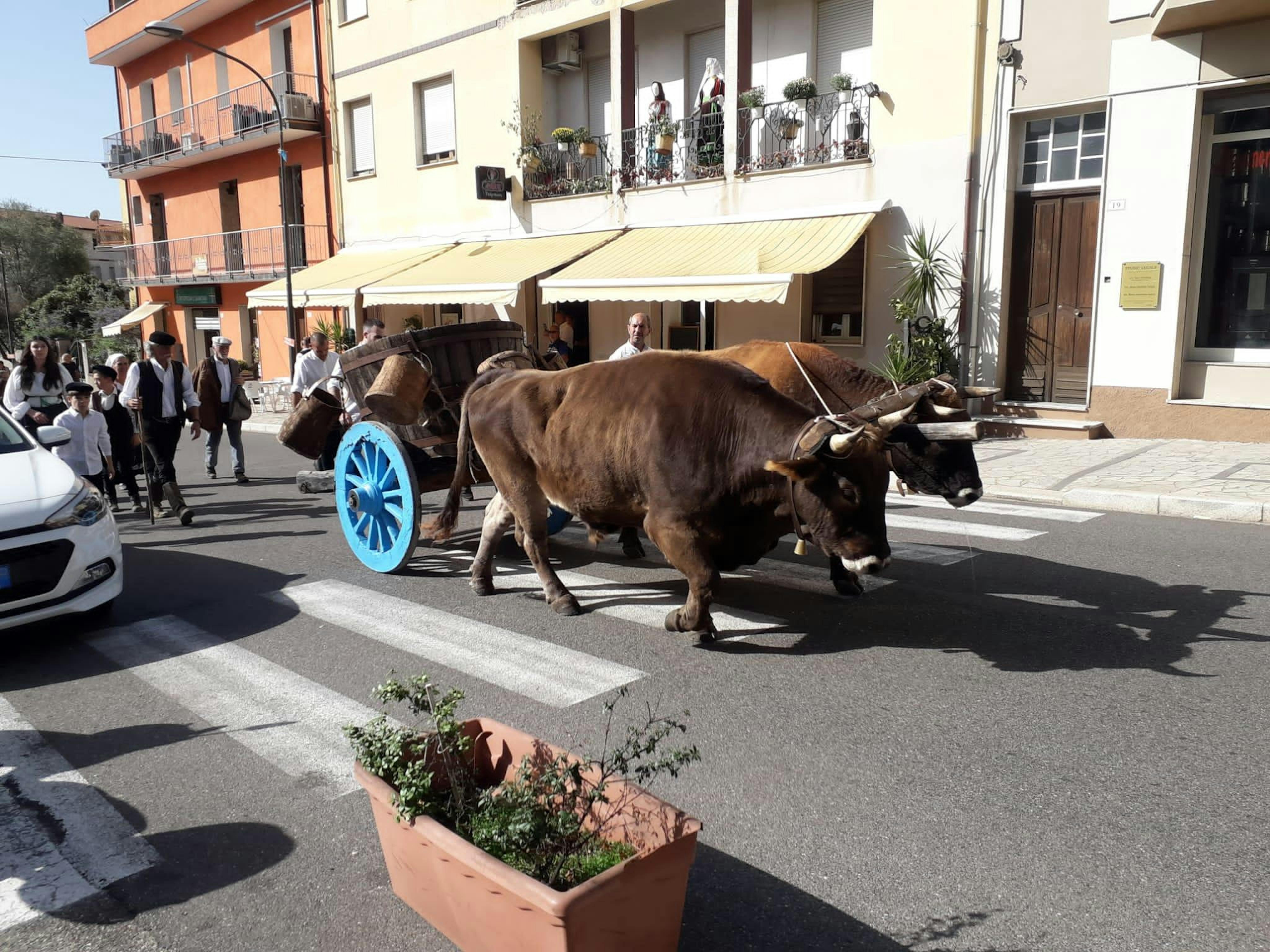 Il  Comune di Sorgono