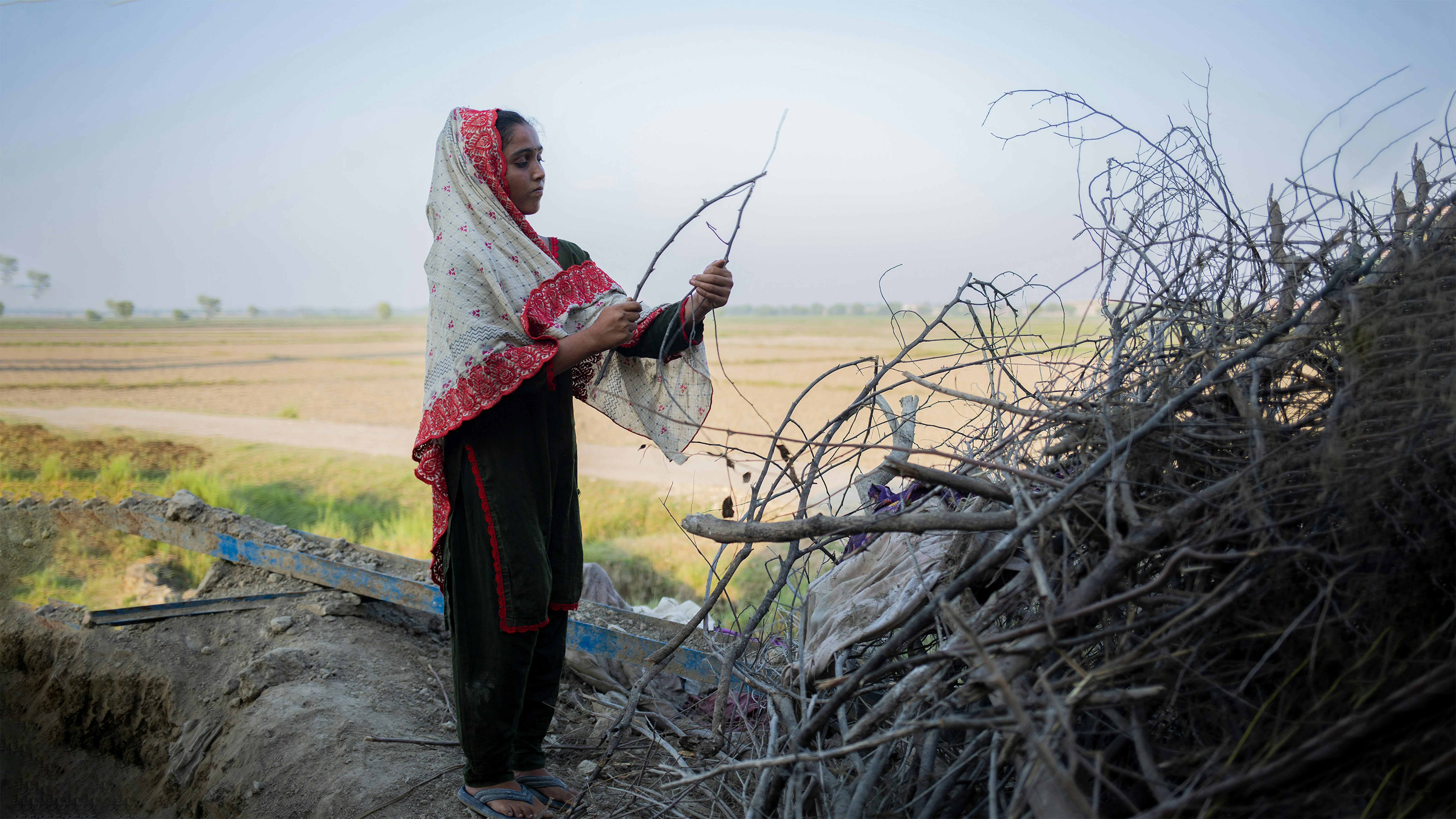 Pakistan, Sugrah, 15 anni, la cui casa è stata distrutta dalle recenti inondazioni, raccoglie bastoni in una delle zone più colpite.