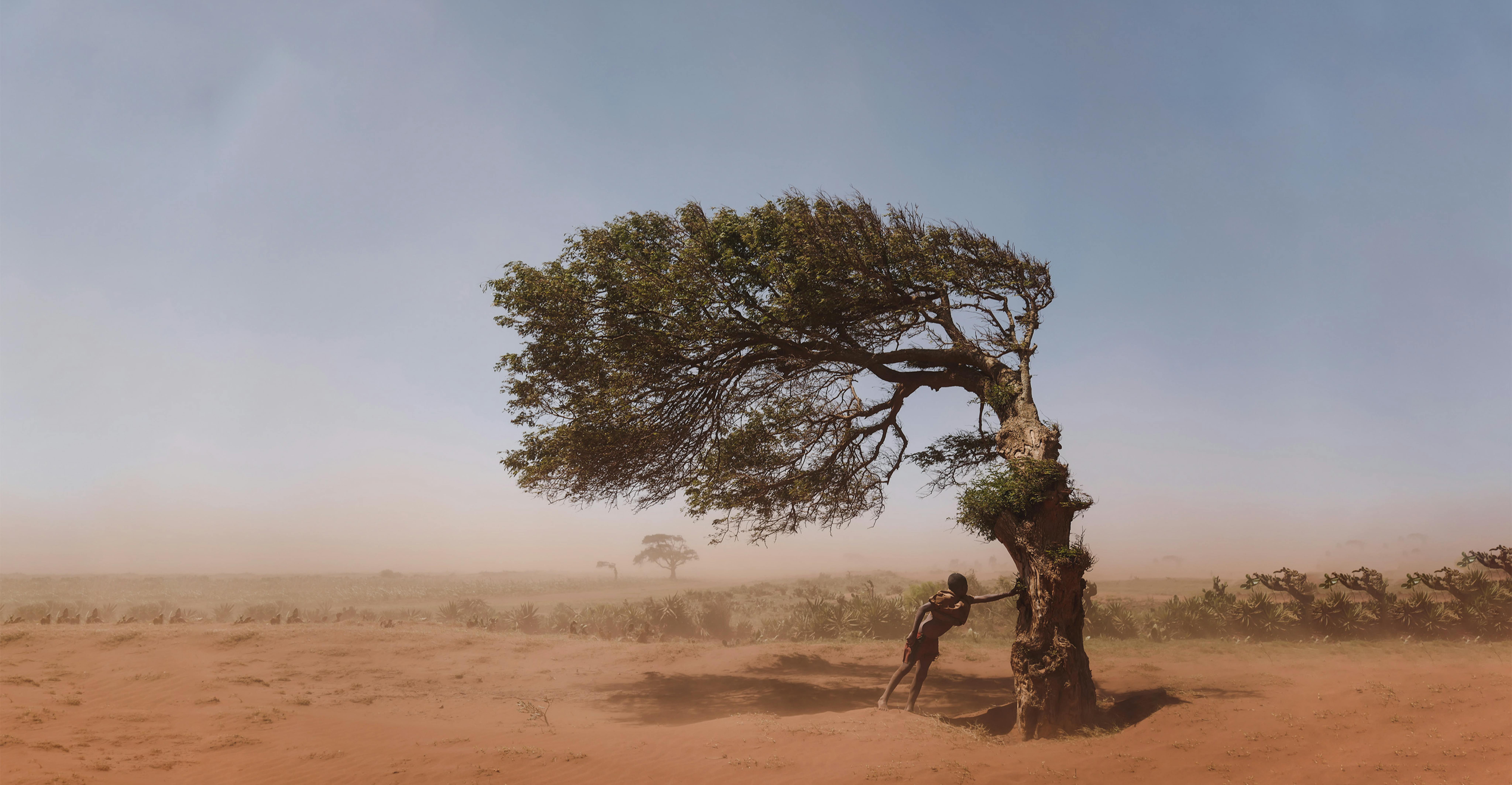 Madagascar, un ragazzo si rifugia sotto un albero per ripararsi dal vento “Tioka”,