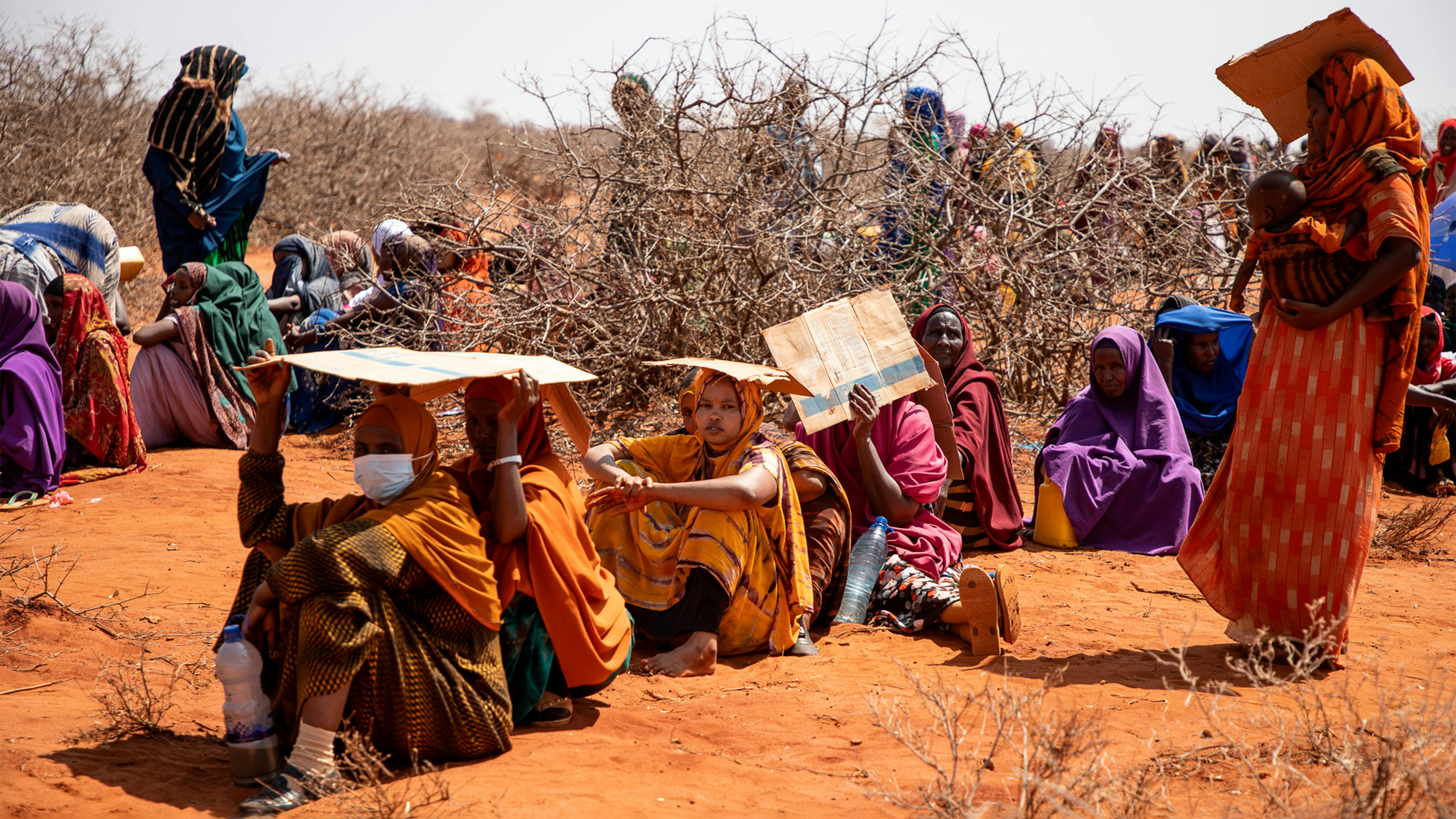 A Hegalle, regione somala in Etiopia, migliaia di uomini, donne e bambini sono in fila nel caldo soffocante in attesa di essere registrati e ricevere aiuti umanitari.