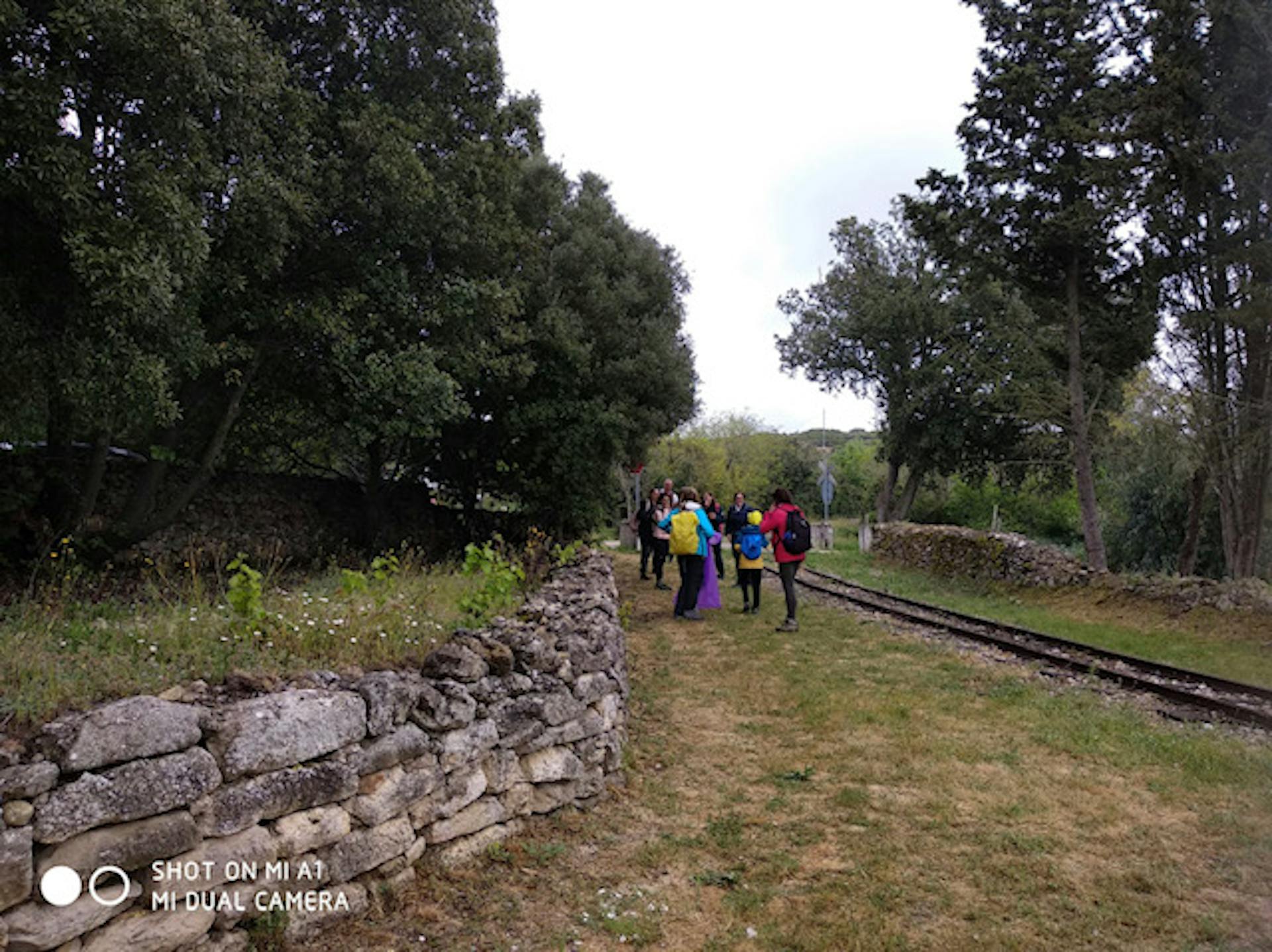 I partecipanti alla camminata del benessere