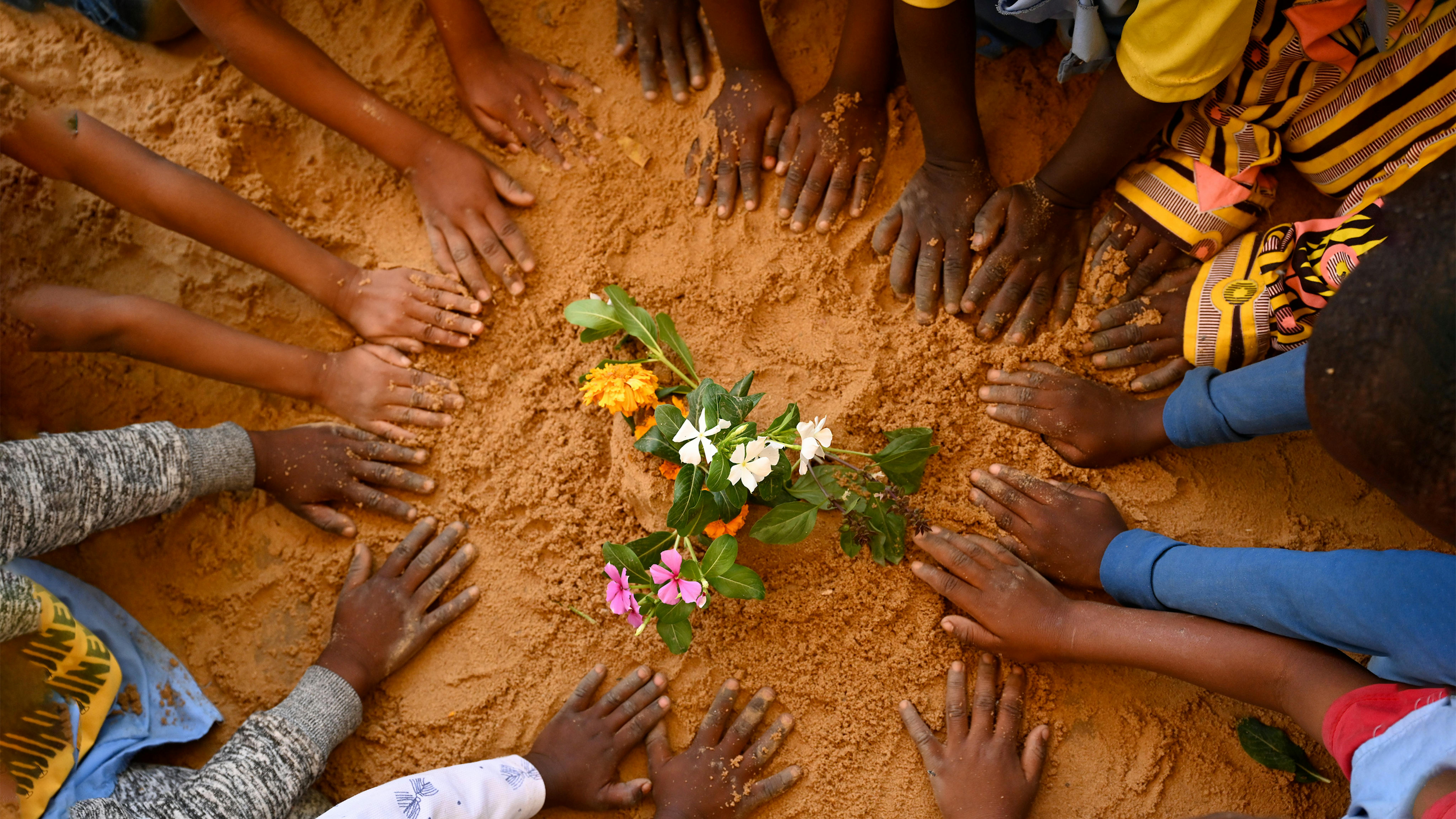 Ciad Bambini che piantano fiori nel parco giochi dell'asilo JEP di N'Djamena