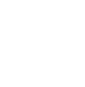 partnership icona