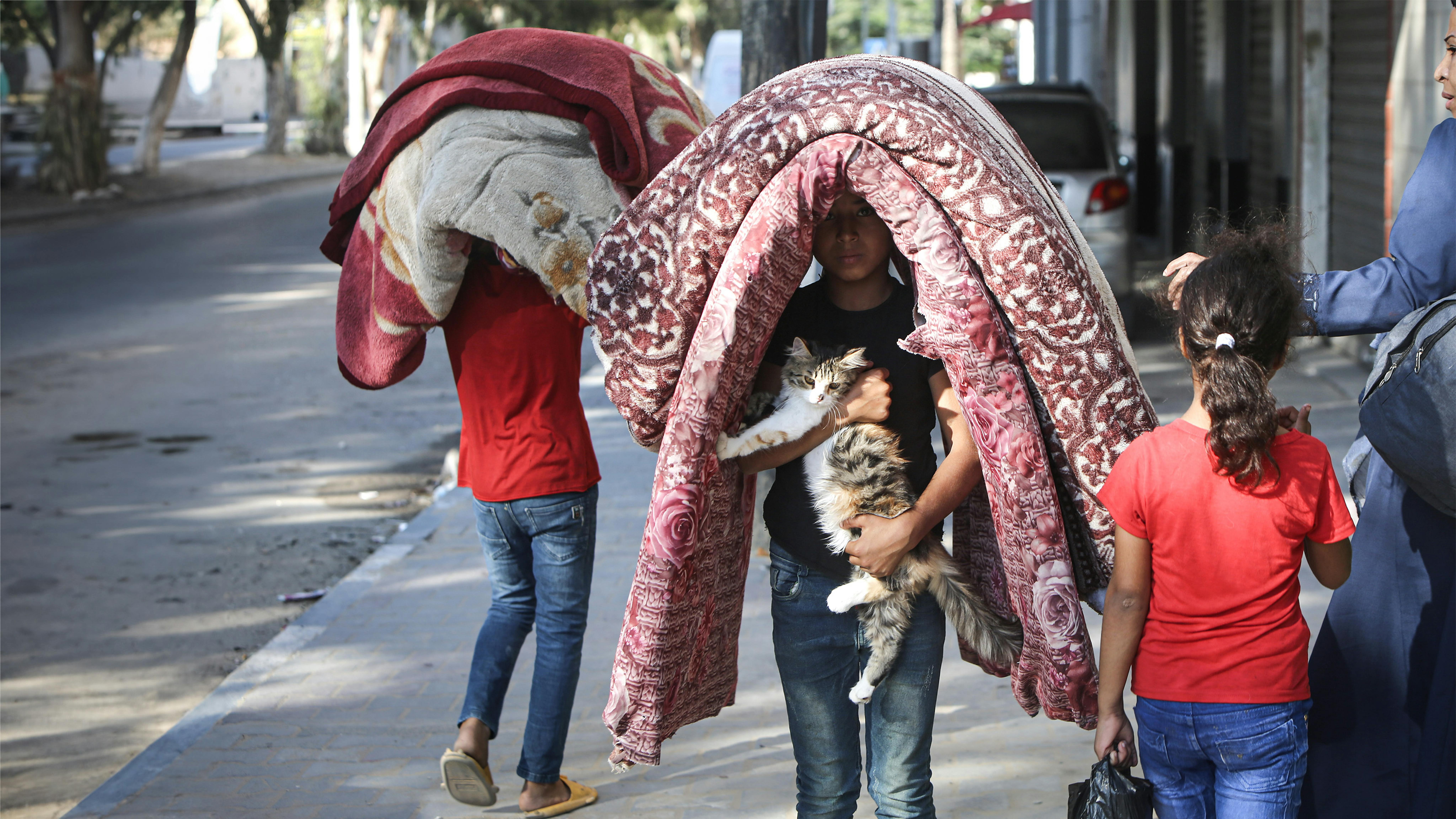 Salem, 7 anni,  trasporta materassi e il suo gatto, mentre lascia il quartiere Tal Al-Hawa a Gaza...