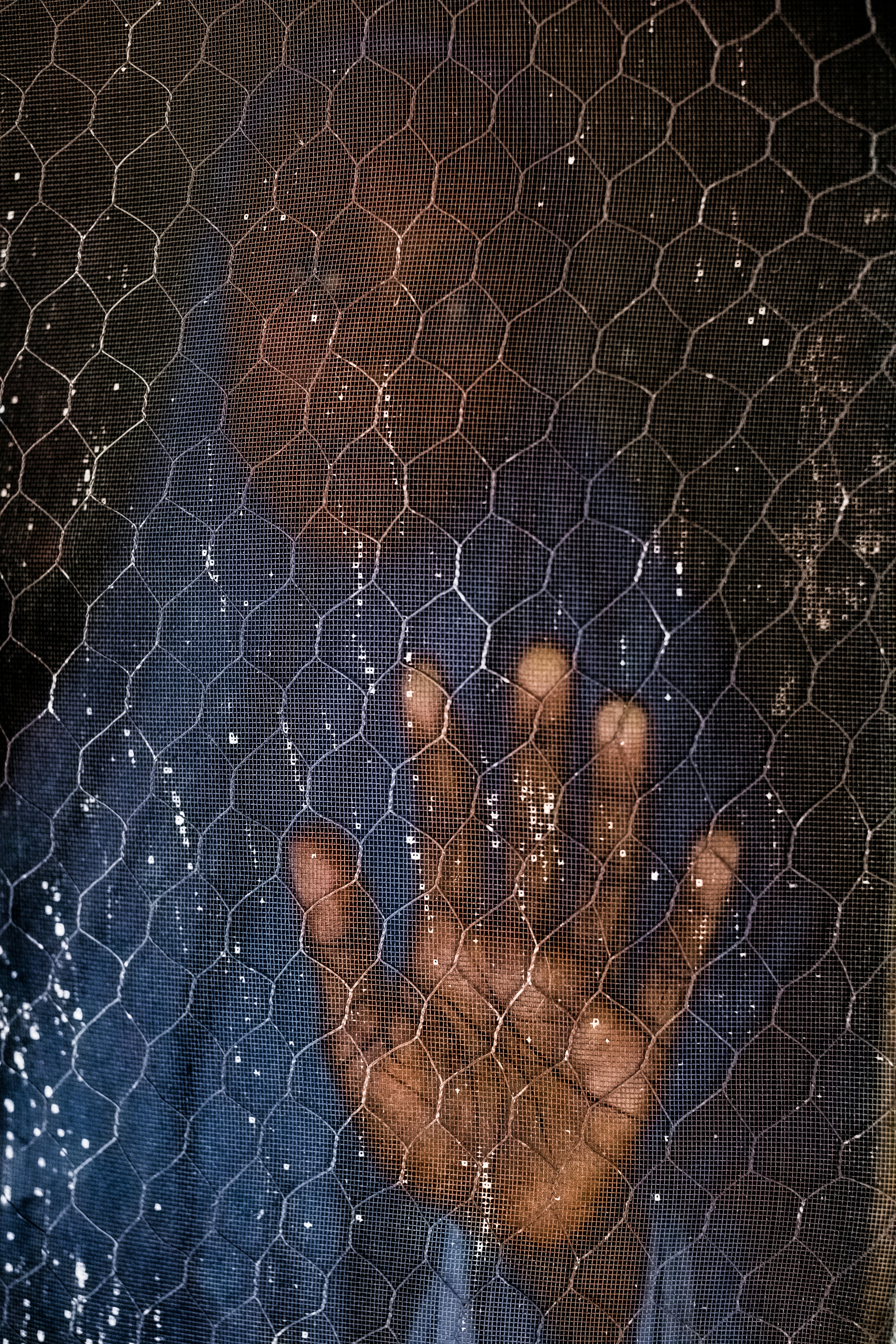 Nigeria - Fatima, 17 anni, dietro la porta a zanzariera di casa sua. Quattro anni fa è stata rapita da un gruppo armato in seguito ad un attacco al suo villaggio nel nord-est della Nigeria.