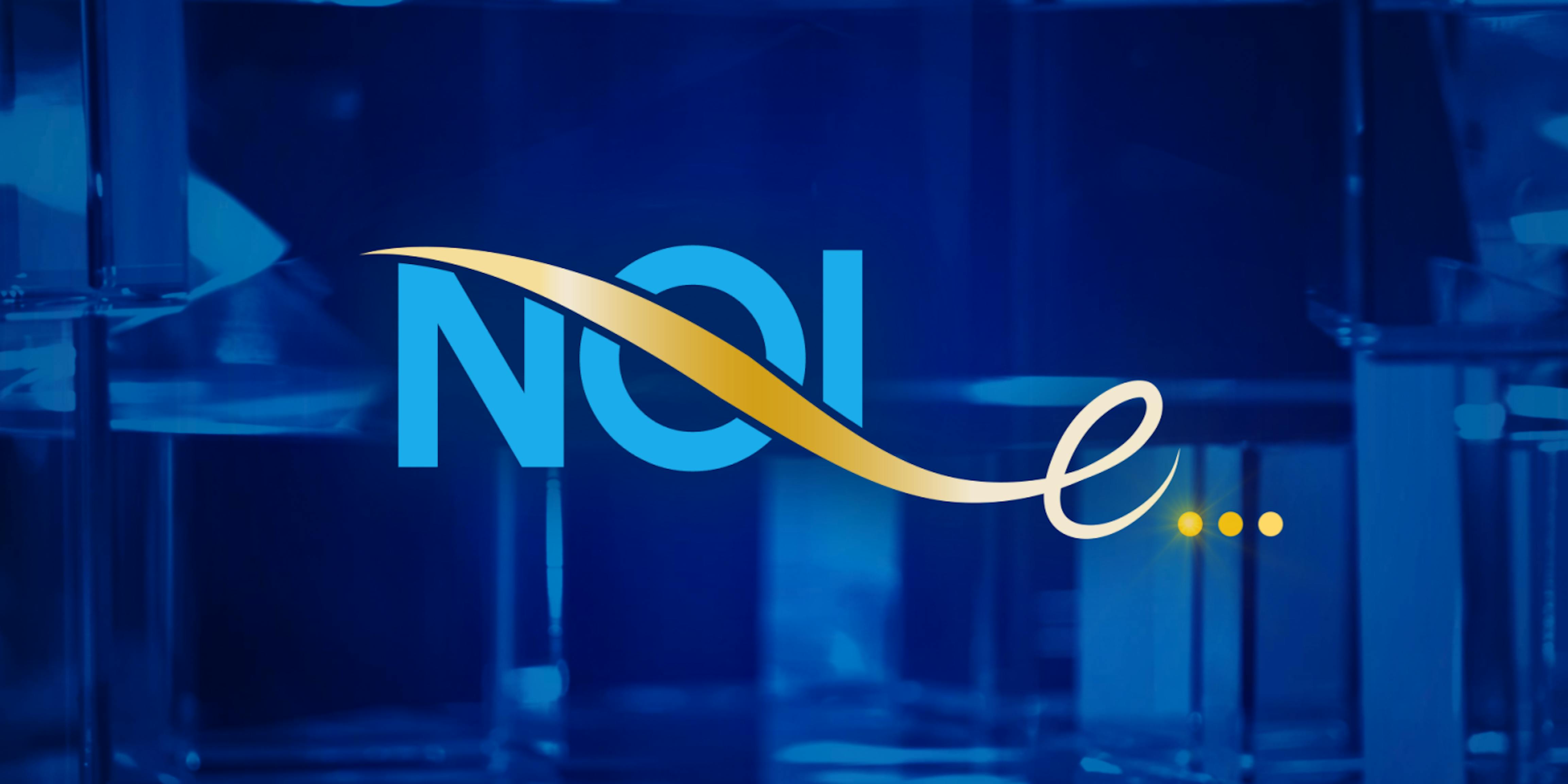 Logo Noi E RAI