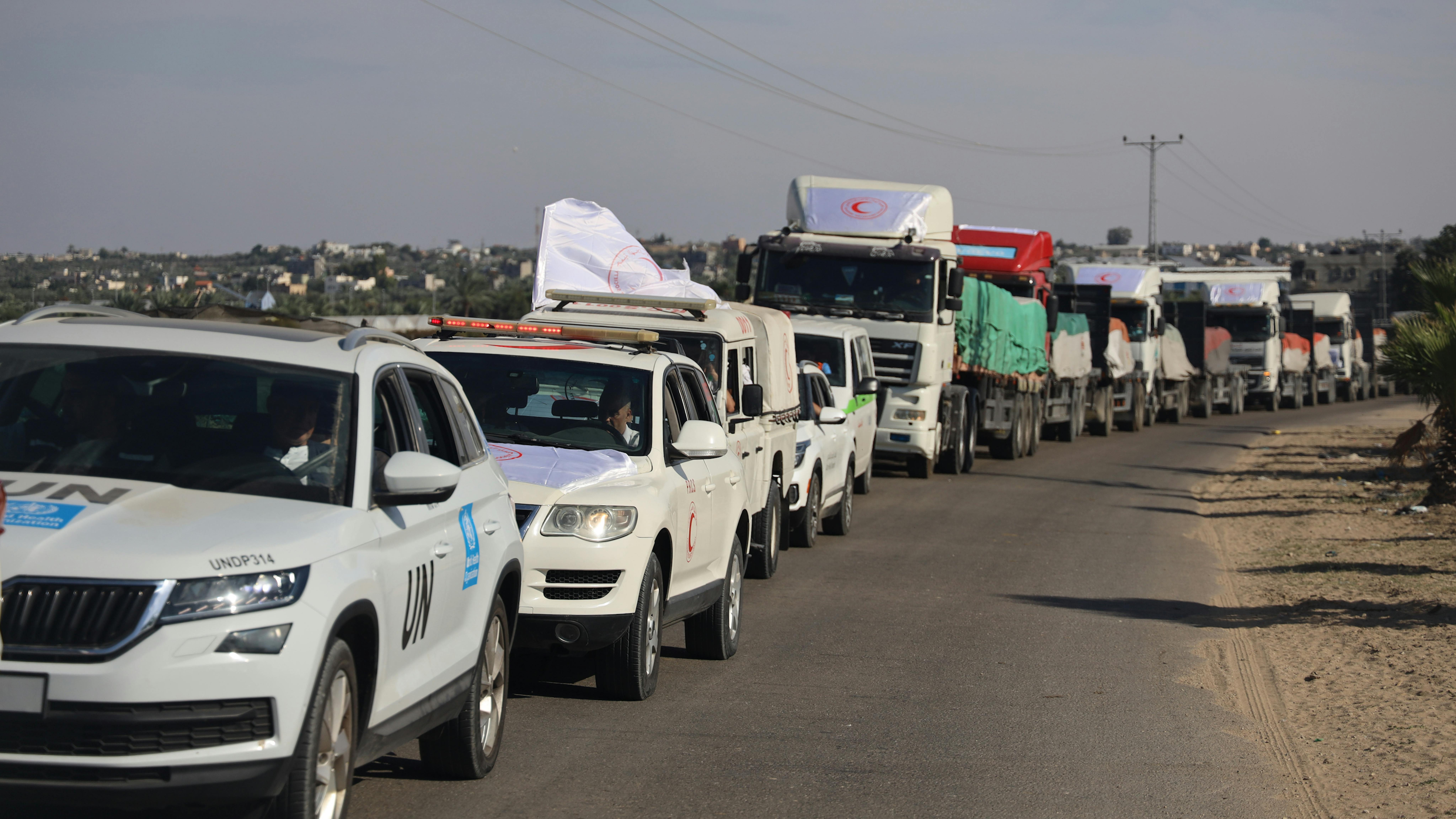 Striscia di Gaza . I convogli di aiuti UNICEF, OMS, UNFPA e della Mezzaluna Rossa in entrata nella Striscia di Gaza attraverso il valico di Rafah