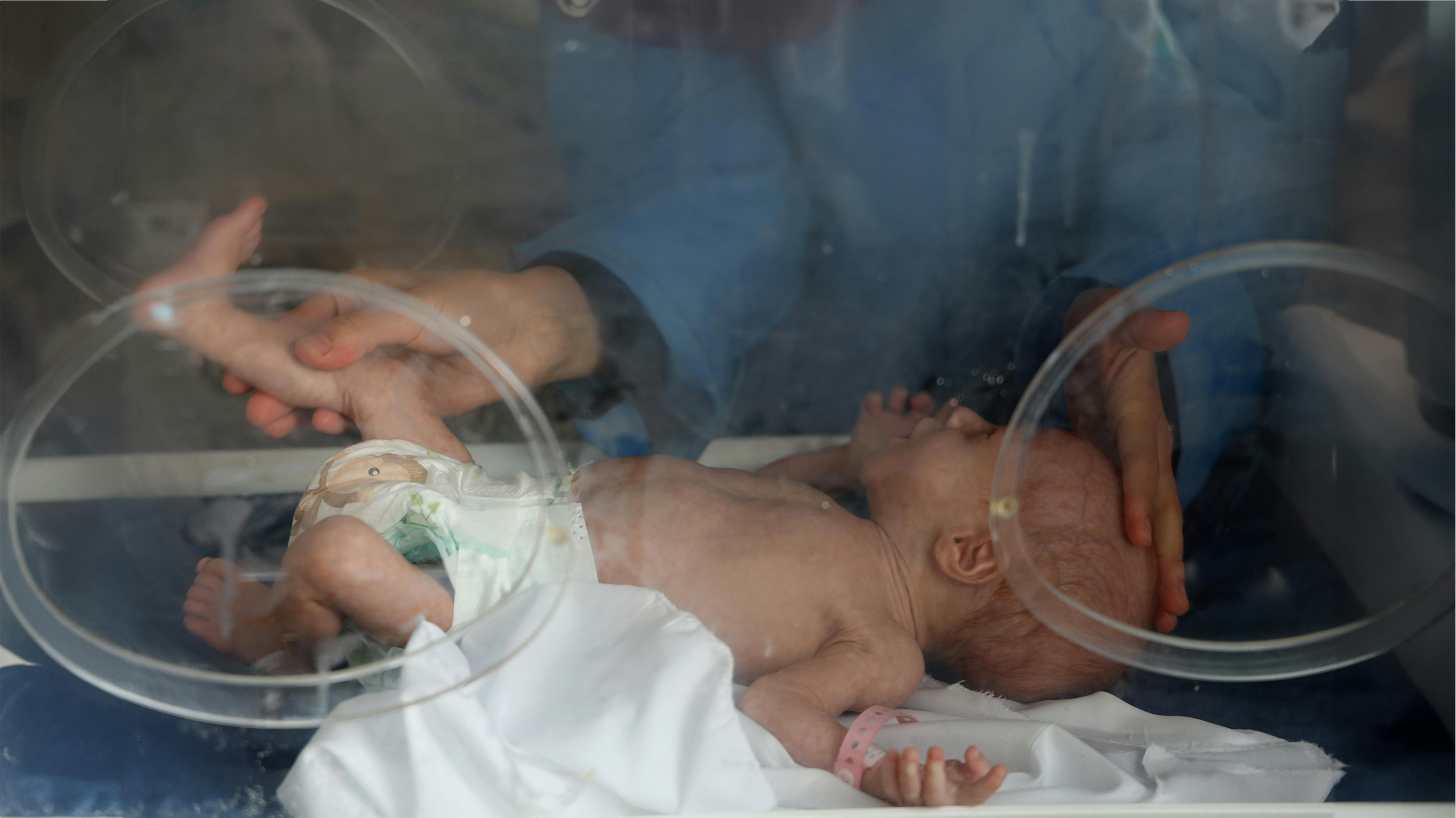 Stato di Palestina, un'infermiera controlla un neonato all'interno di un'incubatrice presso l'Emirati Maternity Hospital, a Rafah.