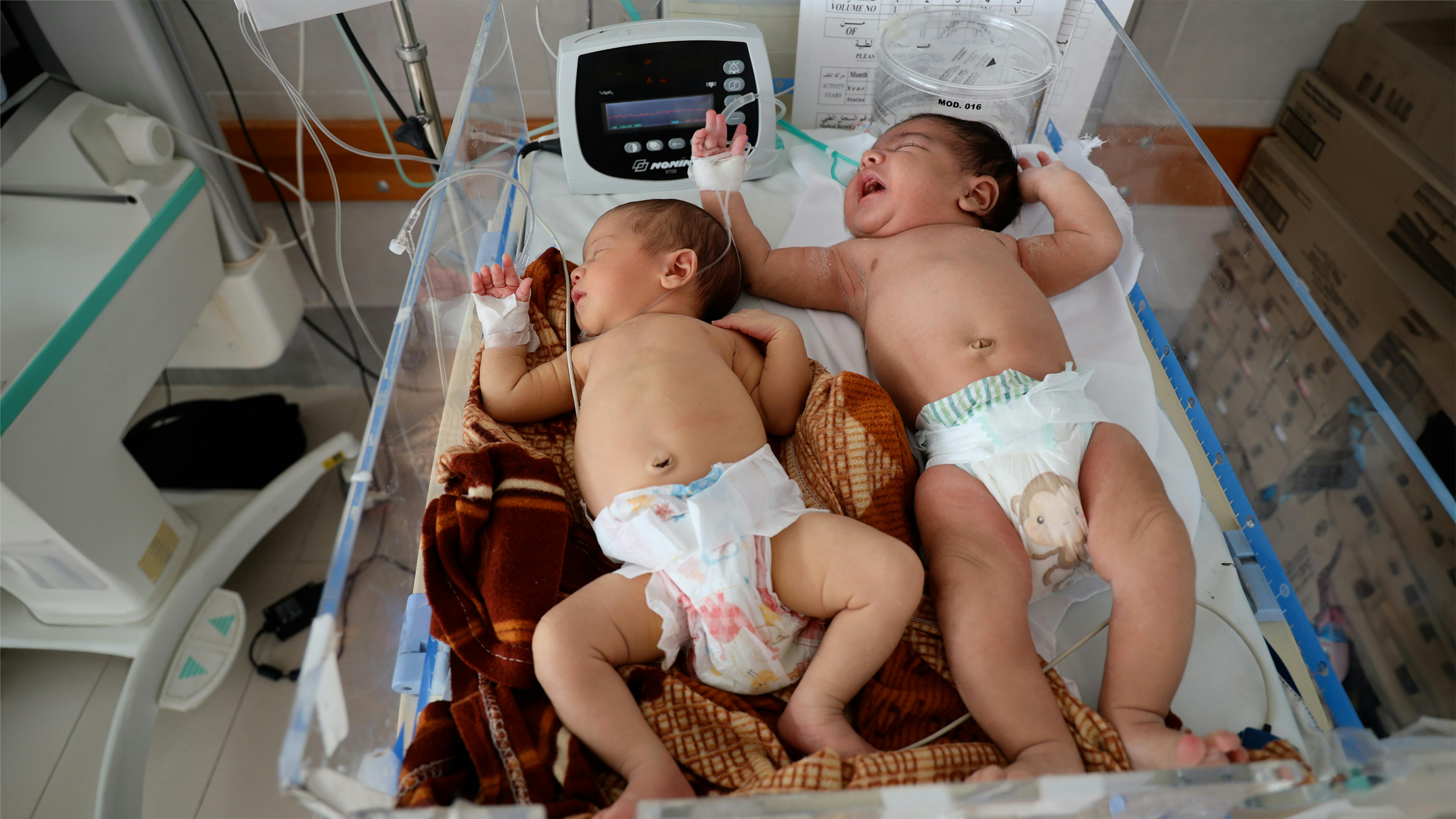 Stato di Palestina, neonati riposano fianco a fianco mentre vengono curati nell'Emirati maternity hospital, a Rafah.