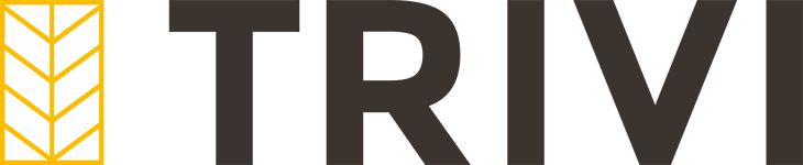 Trivi logo IA