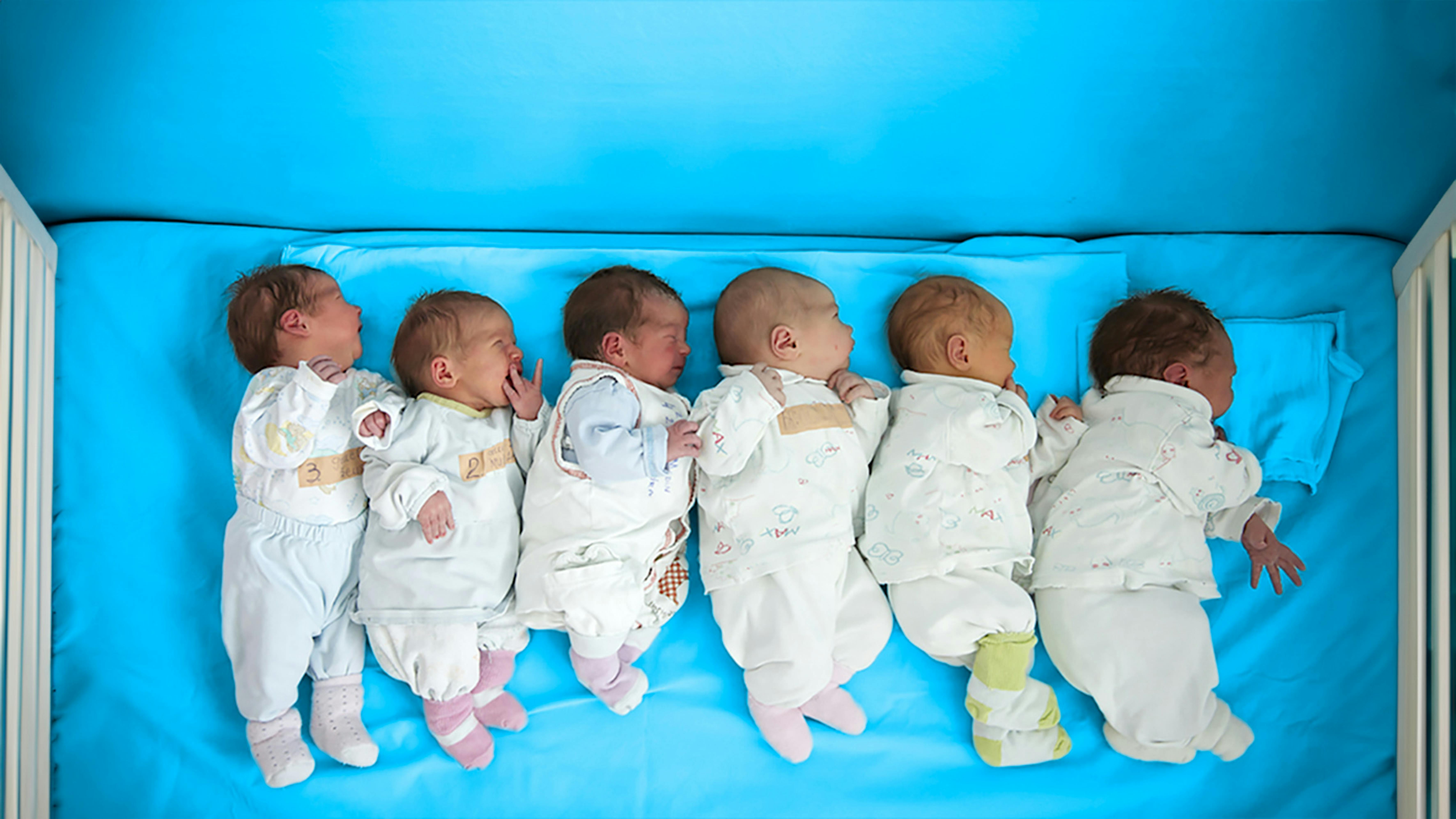 sei bambini appena nati giacciono uno accanto all'altro mentre vengono fotografati nel reparto maternità di Niksic, nel comune di Niksic, in Montenegro.