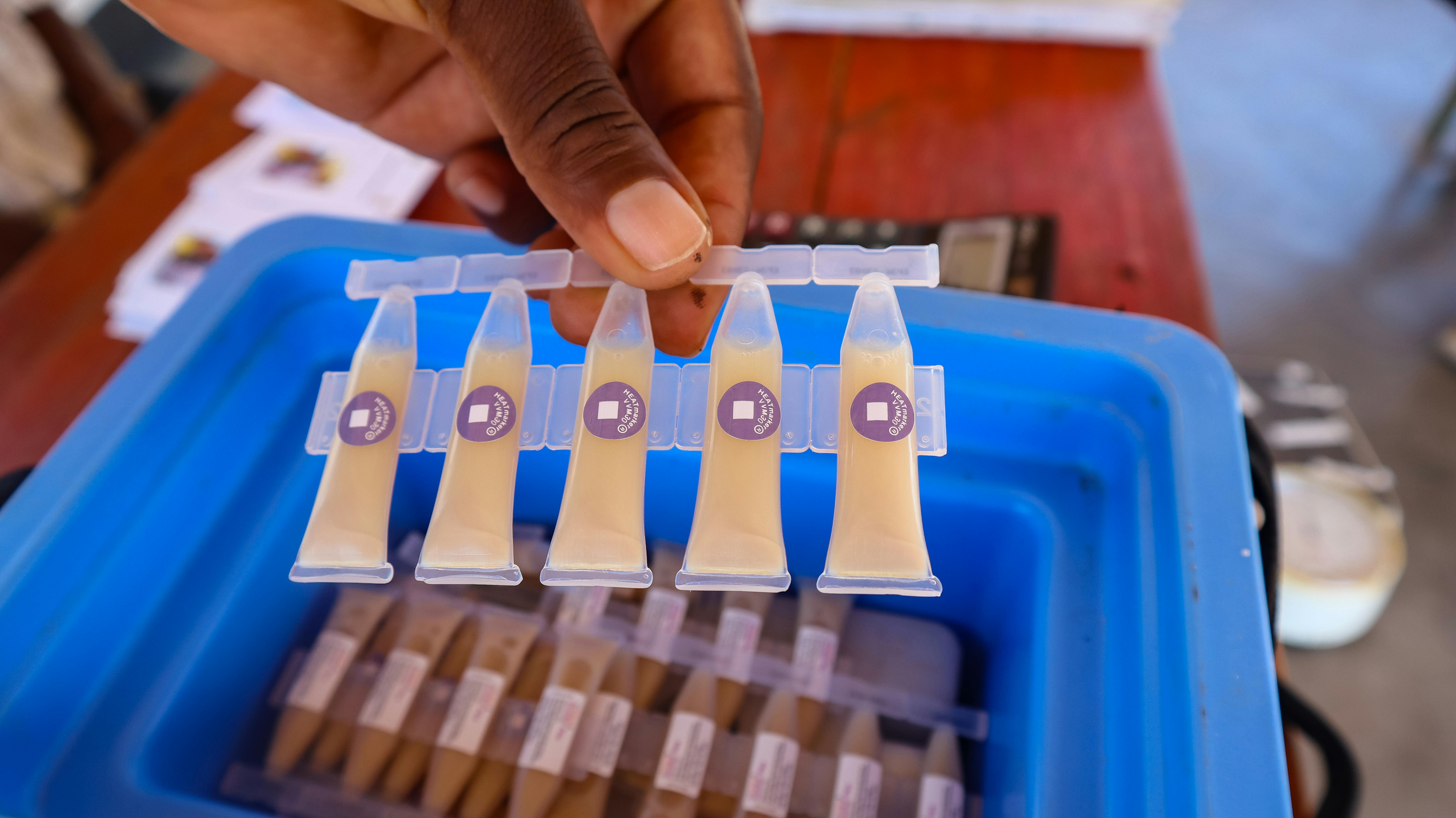 Zimbabwe - vaccini orali contro il colera