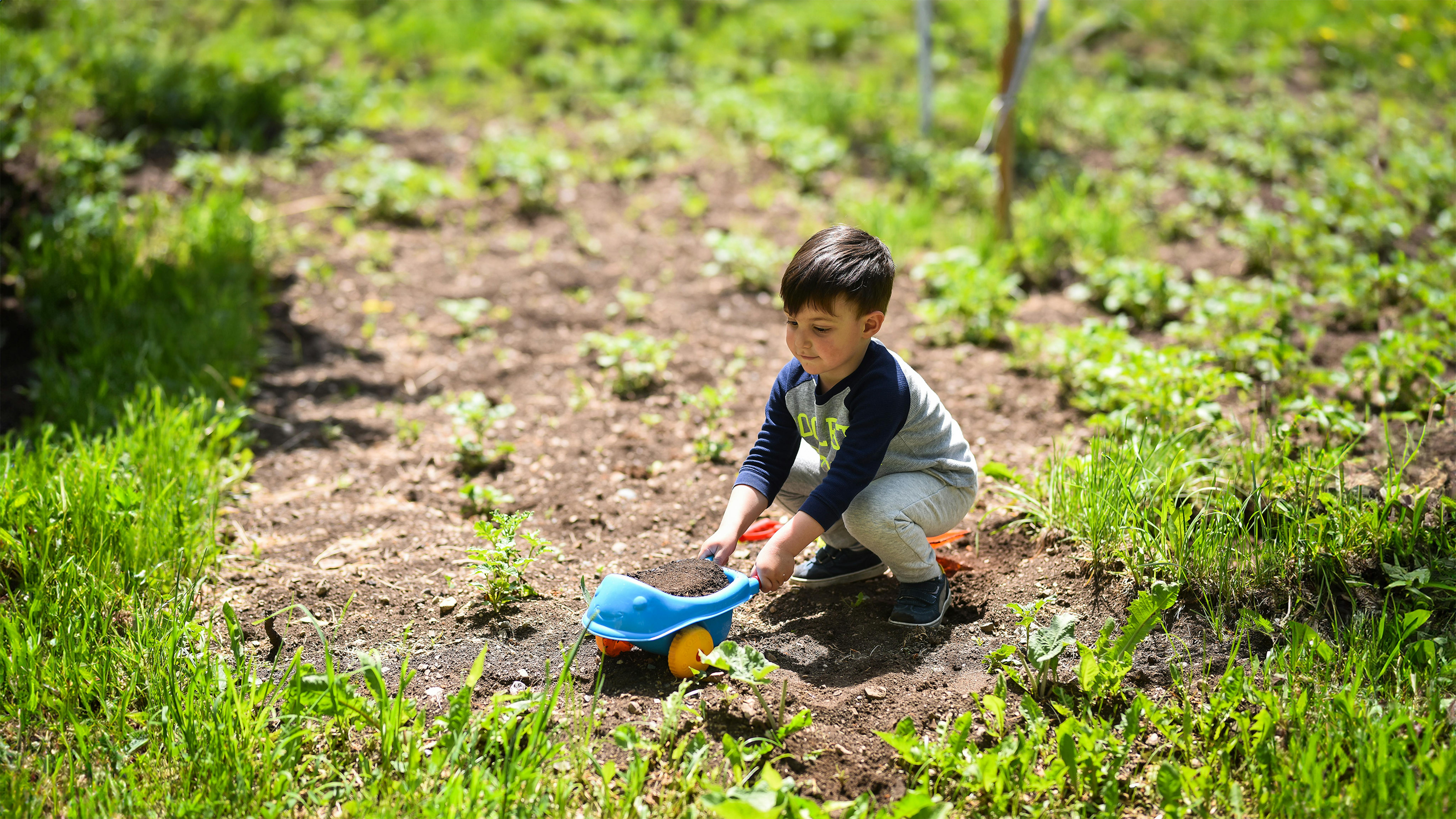Lori, Armenia, un bambino sta giocando con la sabbia in un giardino.