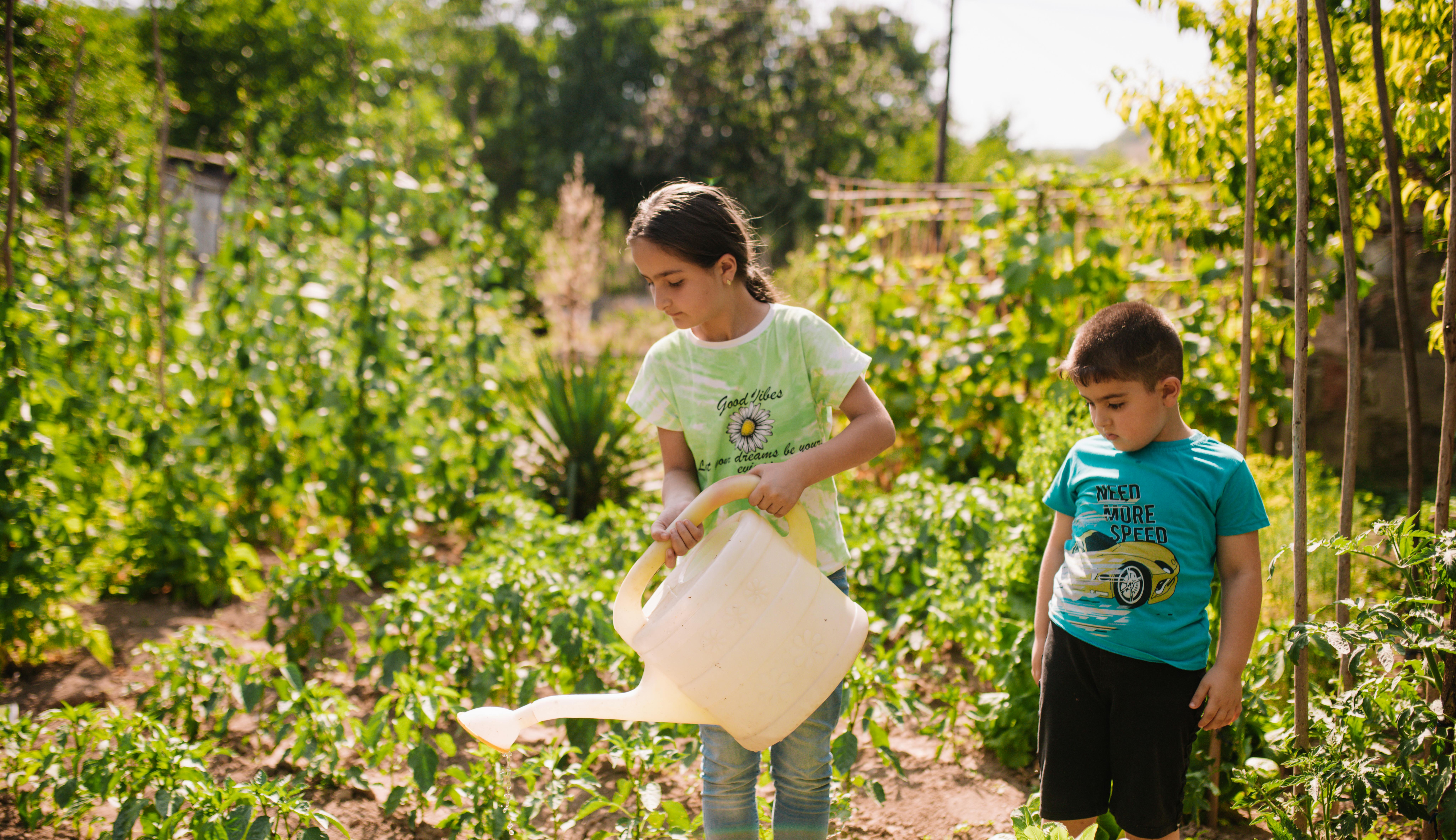 Narine e suo fratello si occupano dell'orto dopo aver partecipato al progetto Healthy Buddy organizzato da UNICEF Armenia e Family Academy in una delle scuole di Achajur.