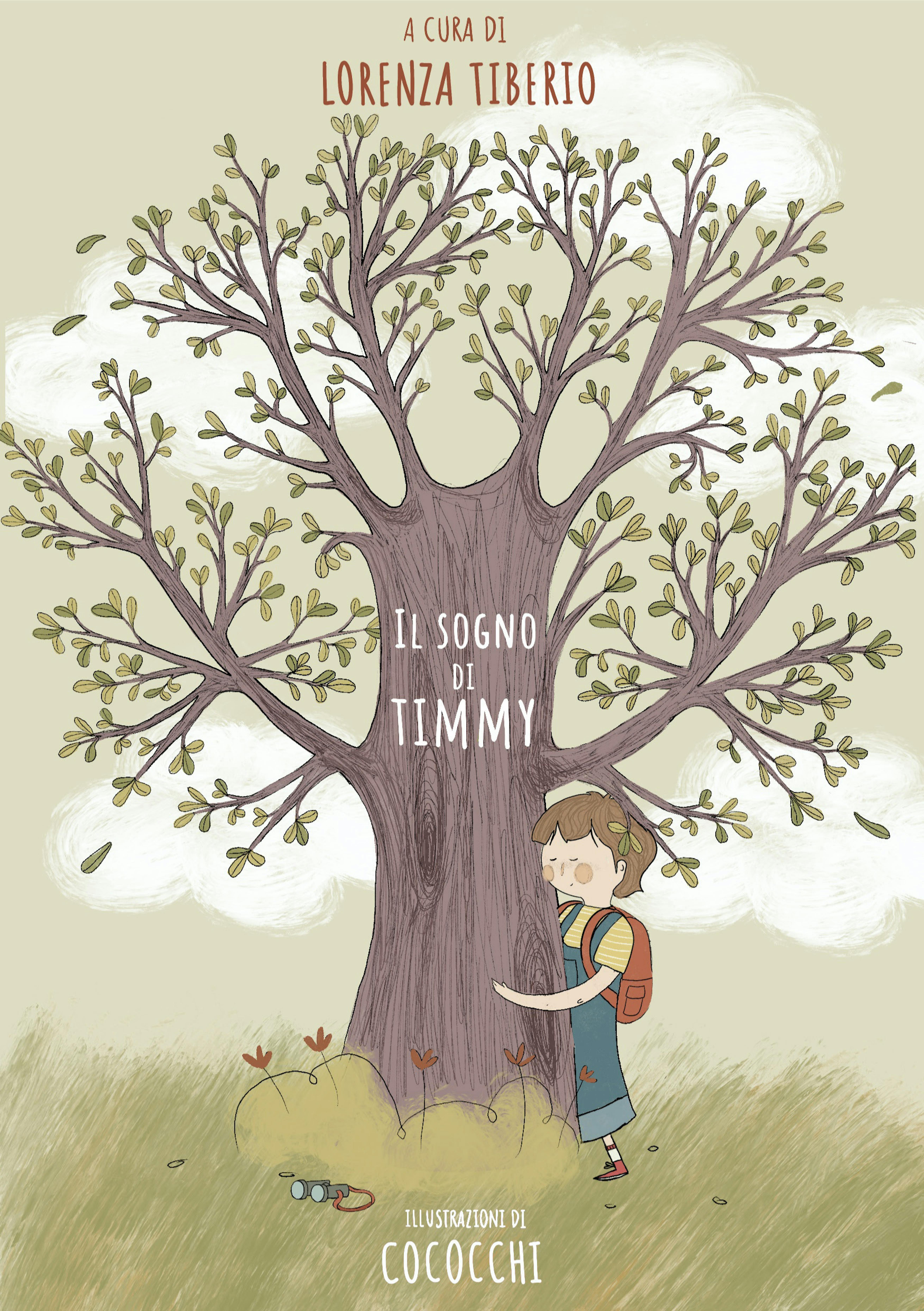 Il sogno di Timmy copertina