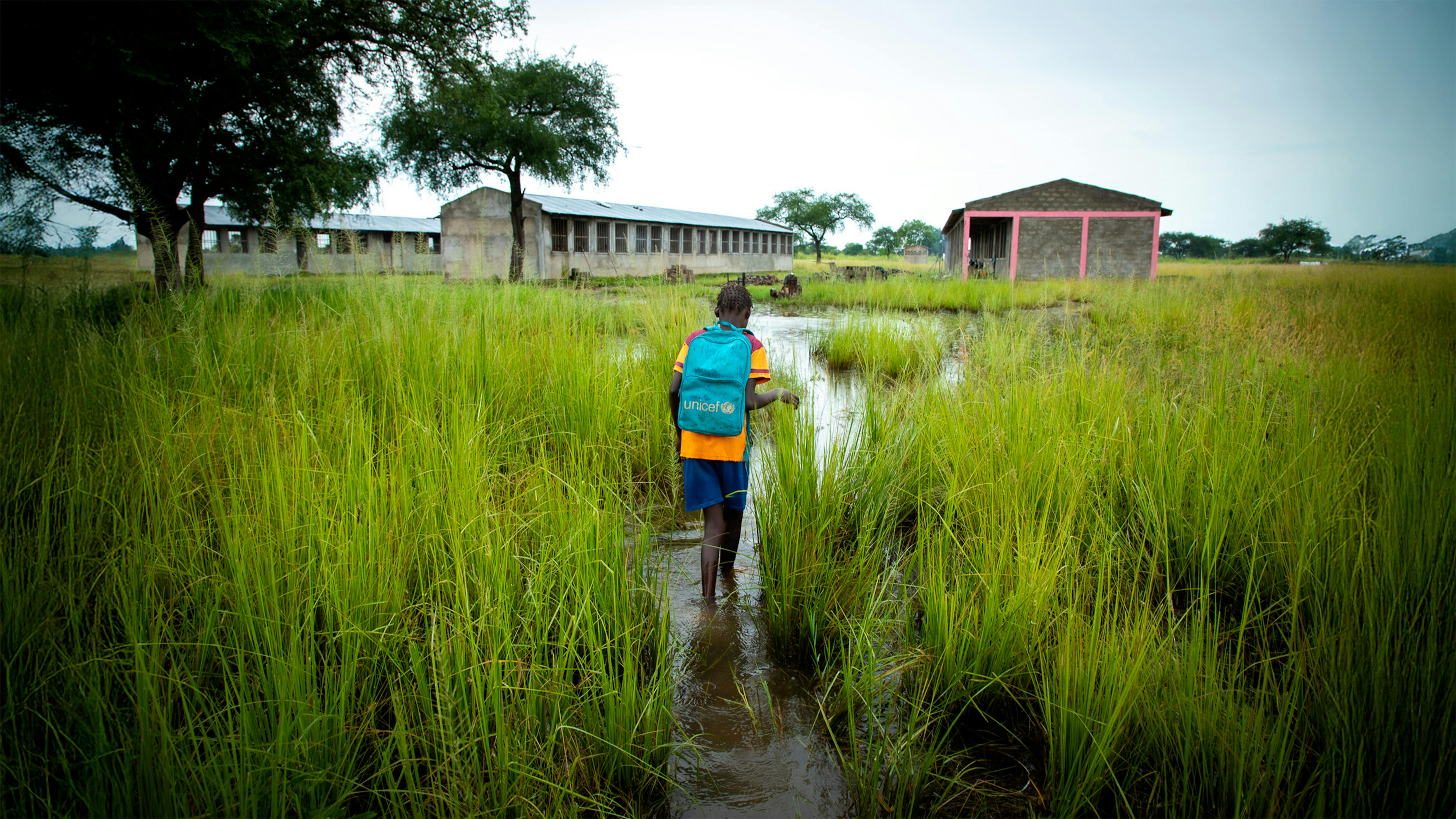 Etiopia - Aboya, dodicenne, attraversa un campo allagato per recarsi a scuola nella regione di Gambella