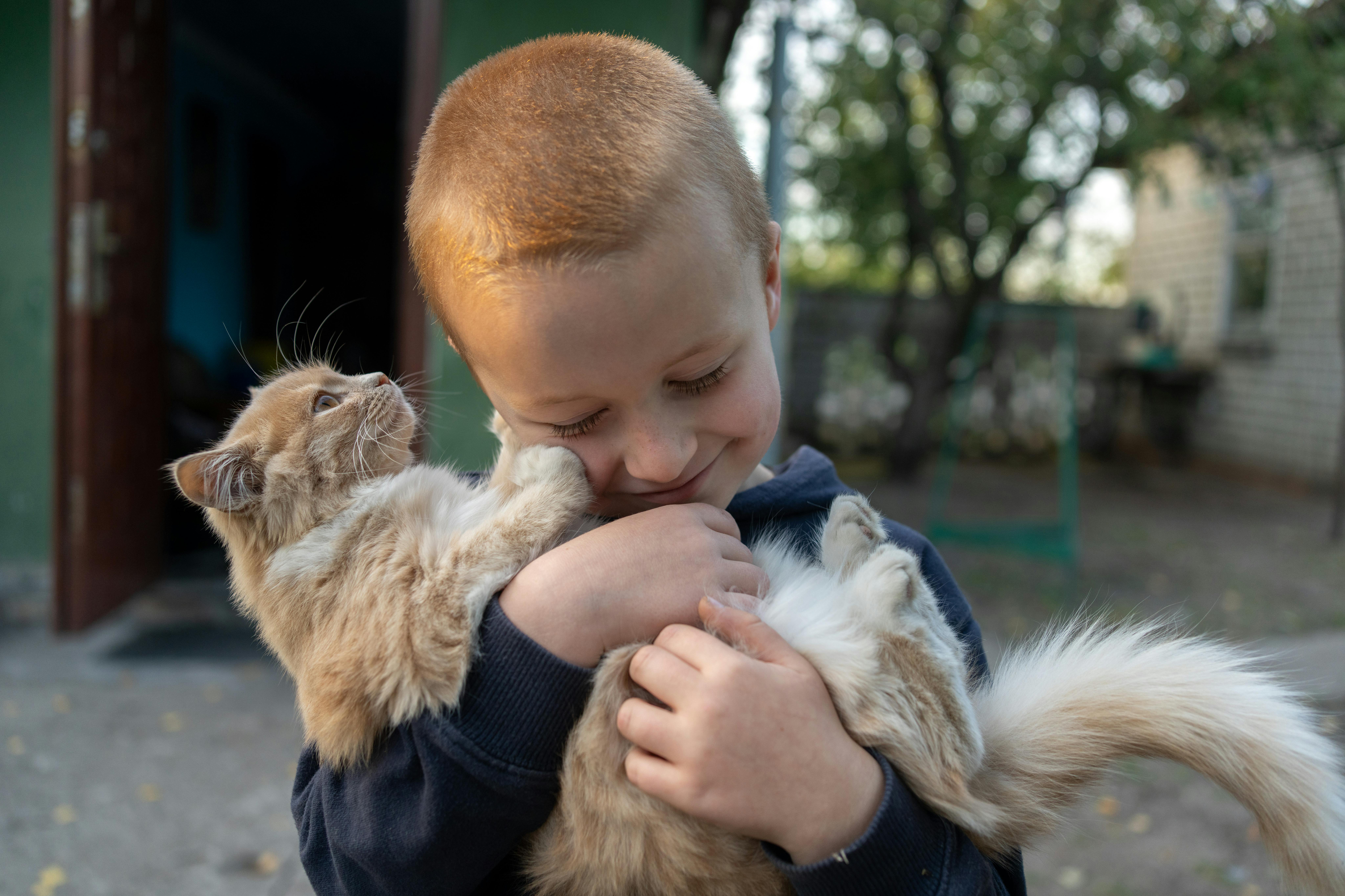 Andriy, 5 anni, tiene tra le braccia uno dei gatti che vive stabilmente insieme alla famiglia nella casa dove sono sfollati, a Khotimlya, in Ucraina