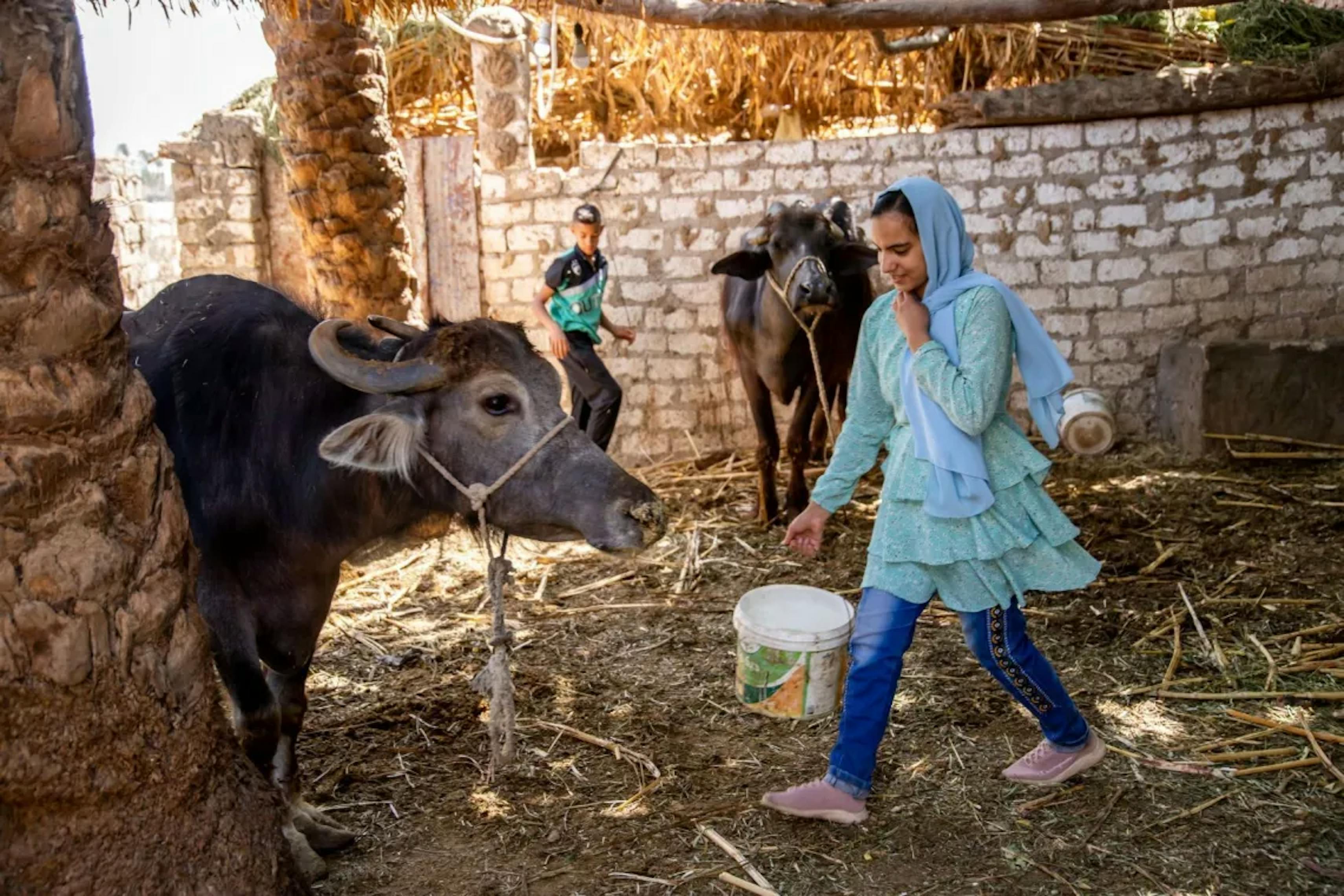 Yasmine, giovane ragazza egiziana, porta il cibo agli animali nella fattoria di famiglia. E' scampata grazie alla sorella alle Mutilazioni Genitali Femminili