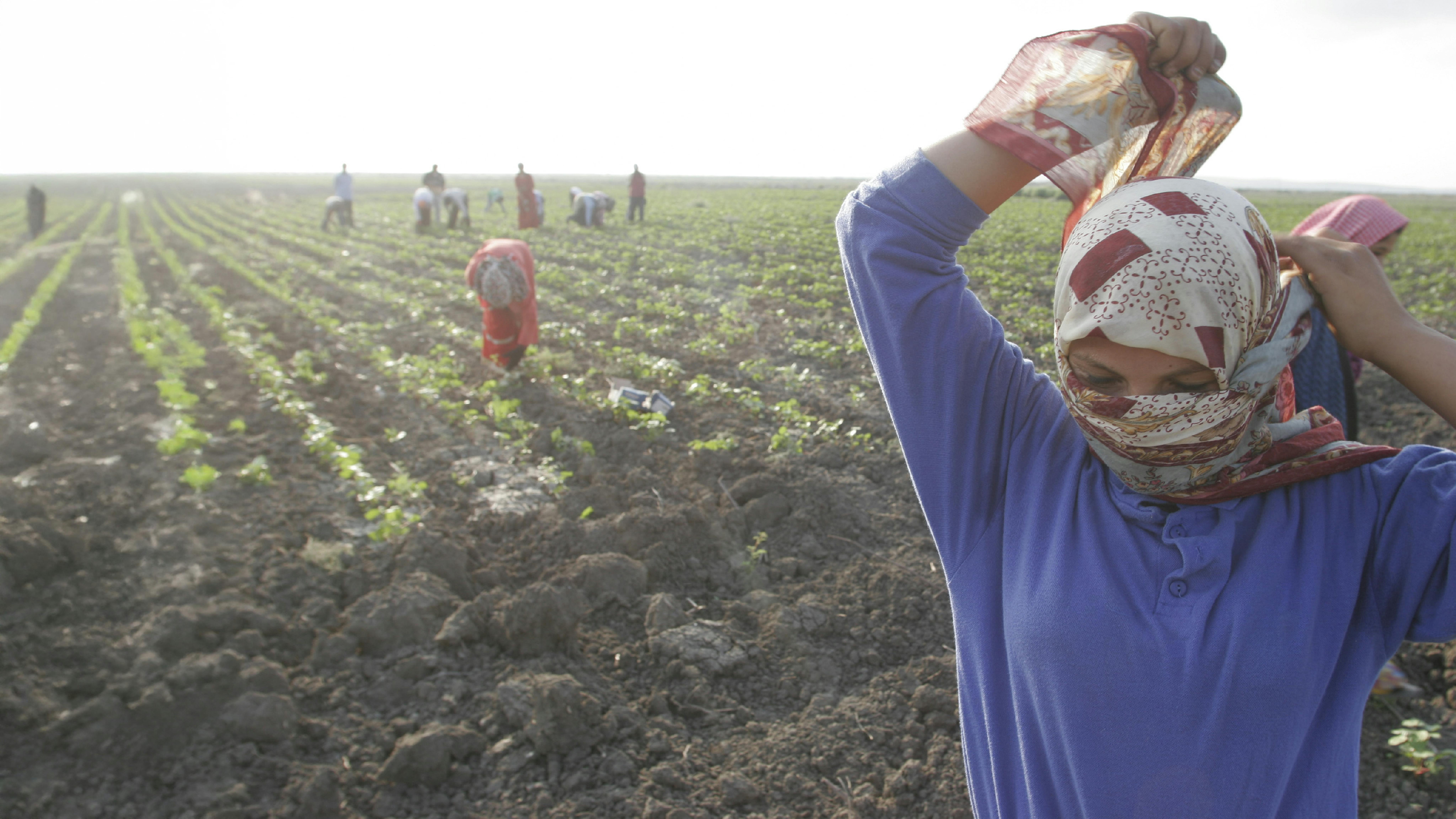 Una ragazza si allaccia la sciarpa per proteggersi il viso dalla polvere ai margini di un campo di cotone fuori da un campo per lavoratori migranti nella città di Adana, nella provincia di Adana.