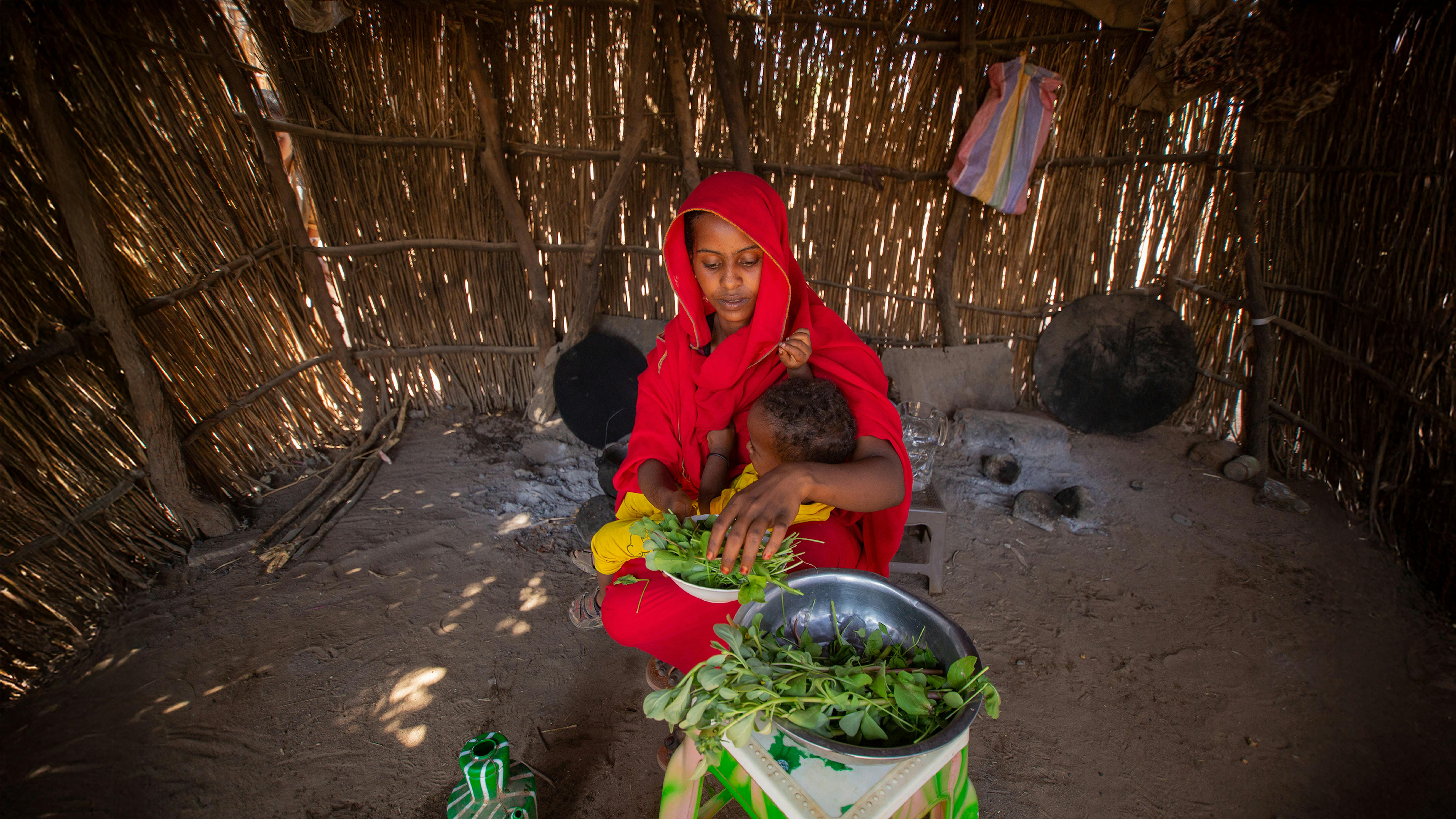 Sudan, Ohag, madre di due figli, raccoglie verdure fresche dal suo orto di casa sul retro della sua casa.