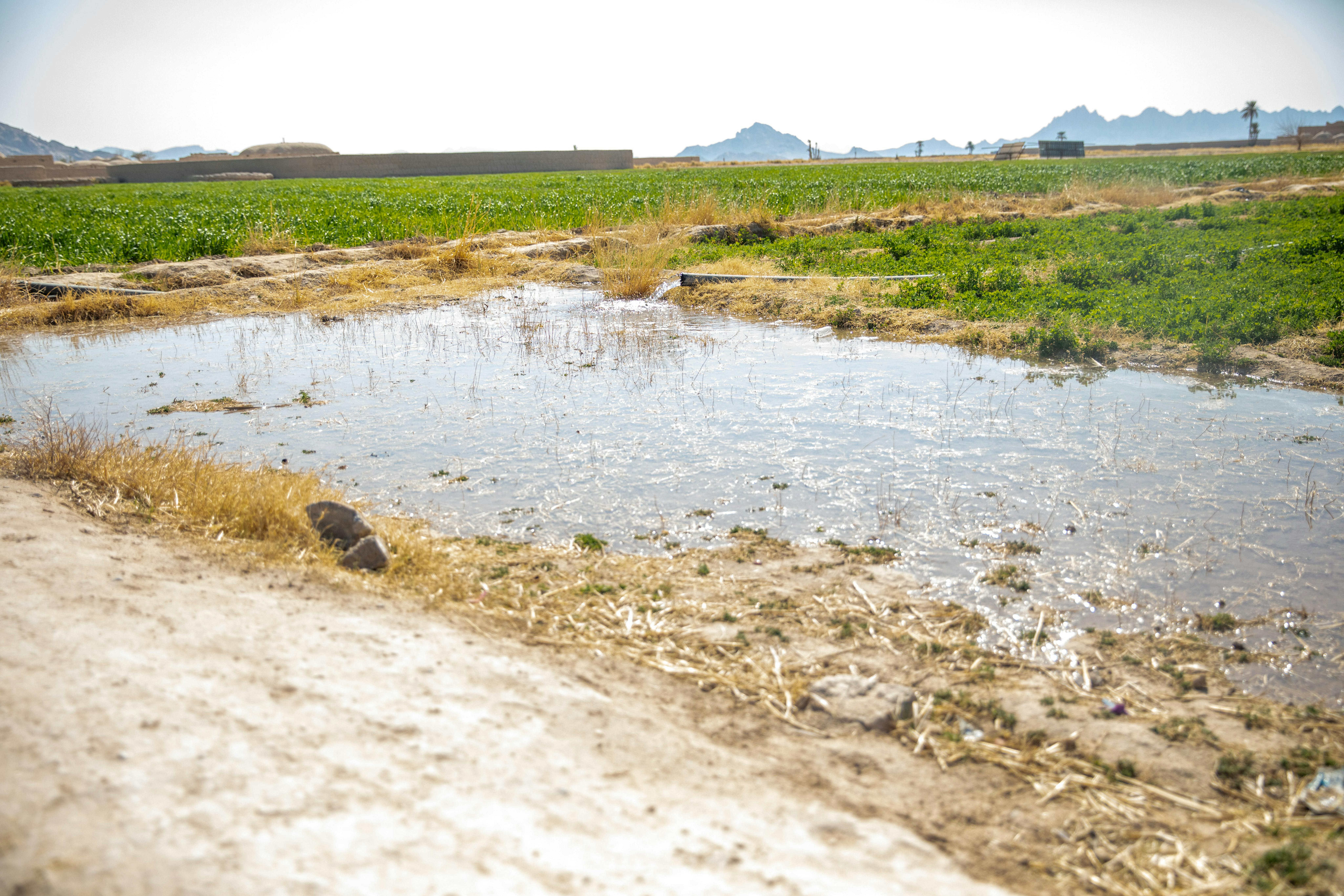 Ruscello che veniva utilizzato come unica fonte di acqua, in assenza di un sistema idrico sicuro nel villaggio di Khormaloq, in Afghanistan. Bambini e famiglie erano costretti a utilizzare fonti d’acqua contaminate, aumentando il rischio di epidemie, in particolare tra i più piccoli.