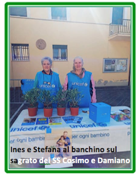 Pisa Campagna ulivo