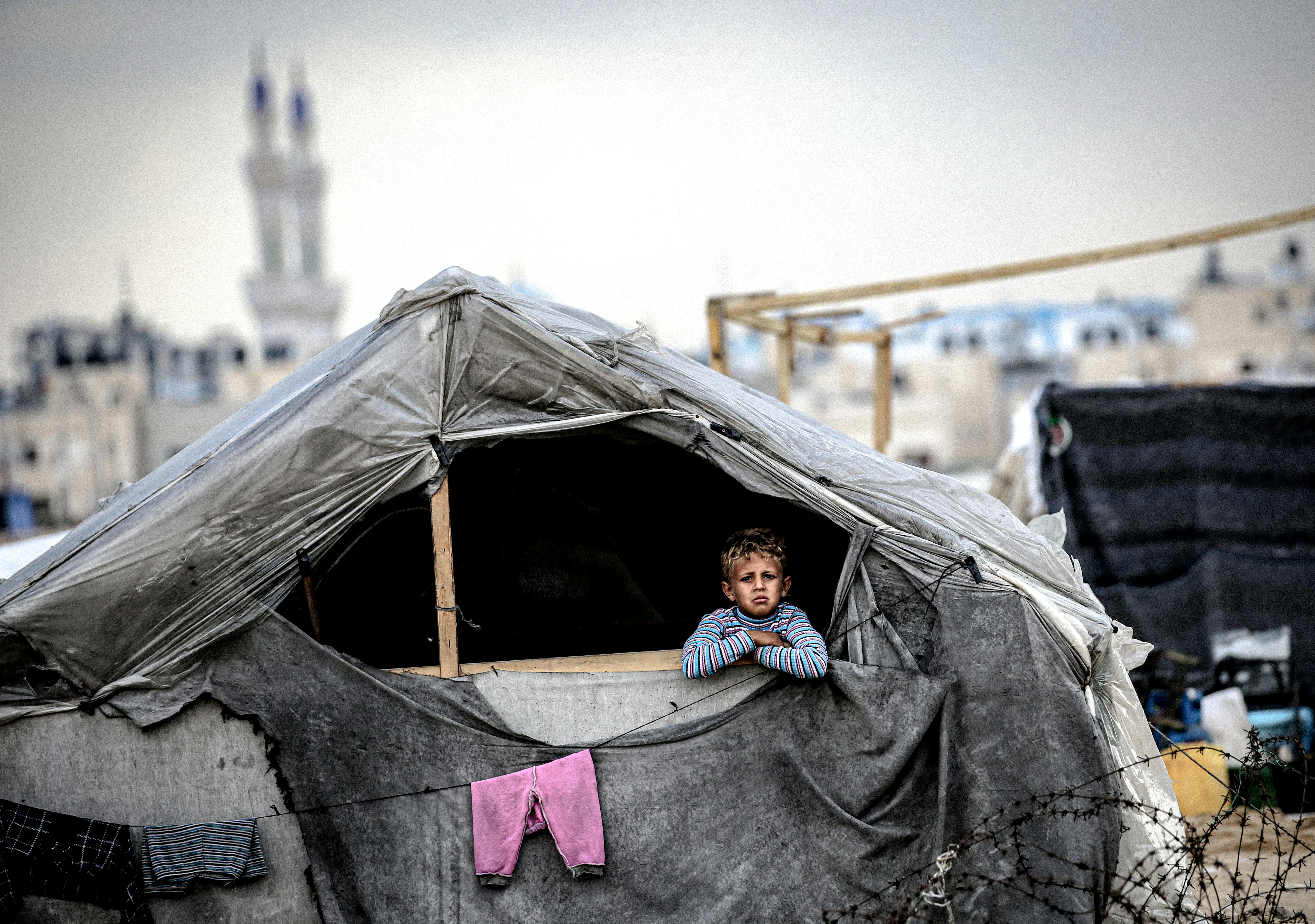 Un bambino sbircia da un rifugio improvvisato costruito con legno e plastica, dove le famiglie sfollate hanno cercato sicurezza a Rafah, a sud della Striscia di Gaza. © UNICEF/UNI820856/