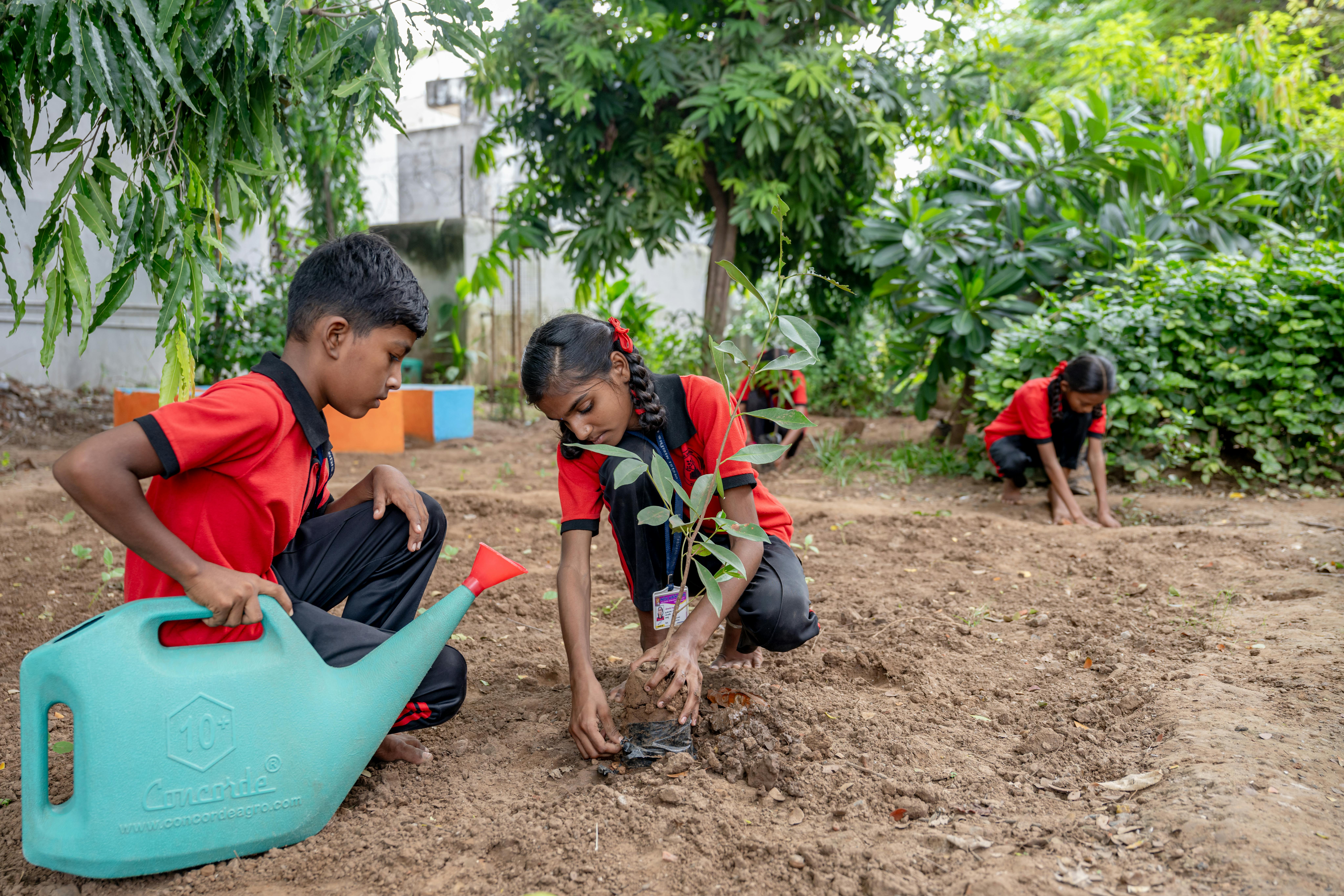 Kartik, 13 anni, leader della commissione ambiente della scuola Bharoda, è responsabile della supervisione della corretta manutenzione degli orti scolastici e dello sviluppo dell'orto. Lui e il suo team partecipano attivamente anche alla piantumazione di piantine per aumentare la vegetazione del campus.
