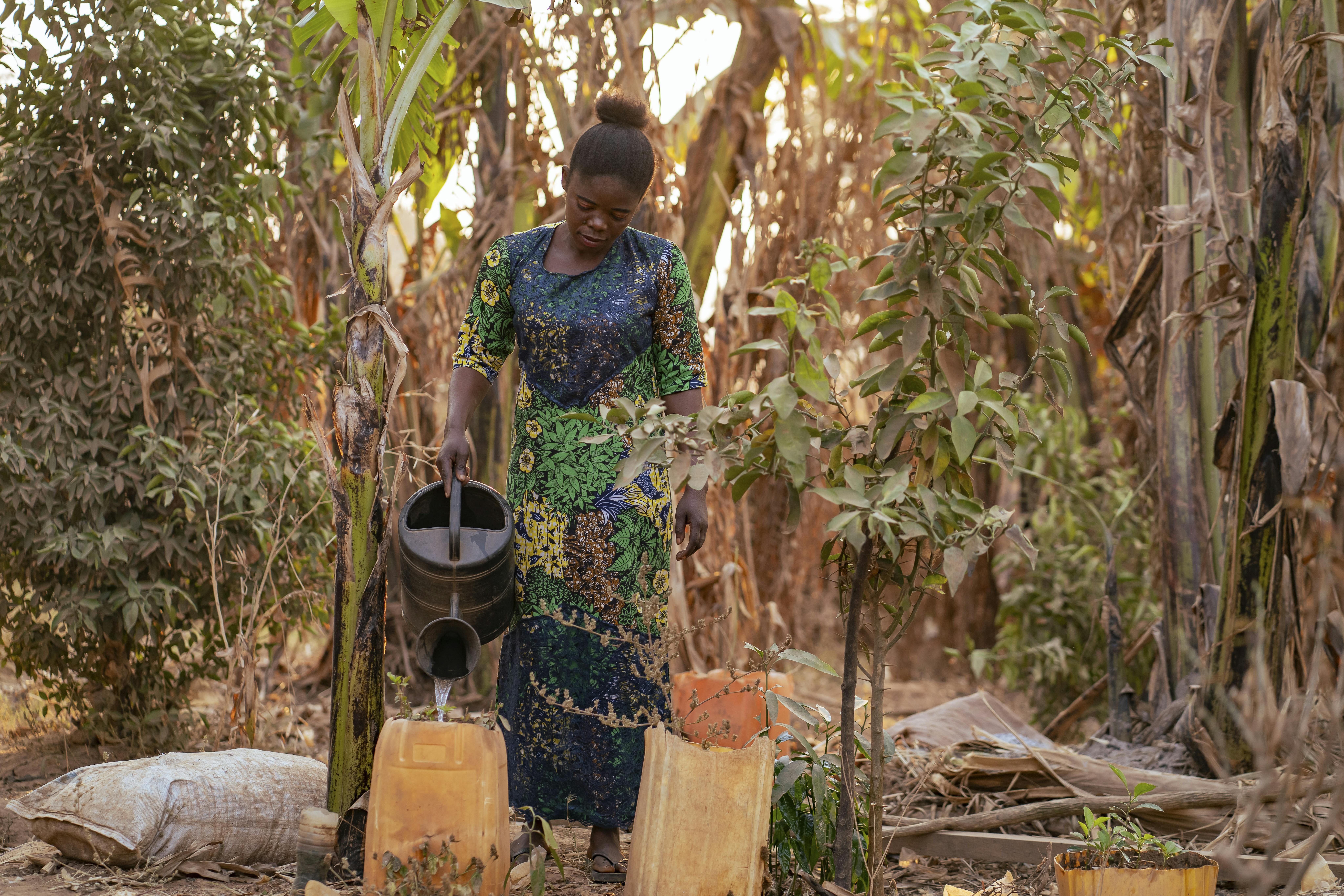 Fanny, madre di nove figli tra cui Astride, 16 anni, annaffia le piante nel suo cortile a Tshala, nella provincia di Lualaba, Repubblica Democratica del Congo. Questa attività vivaistica le ha consentito di provvedere alla famiglia